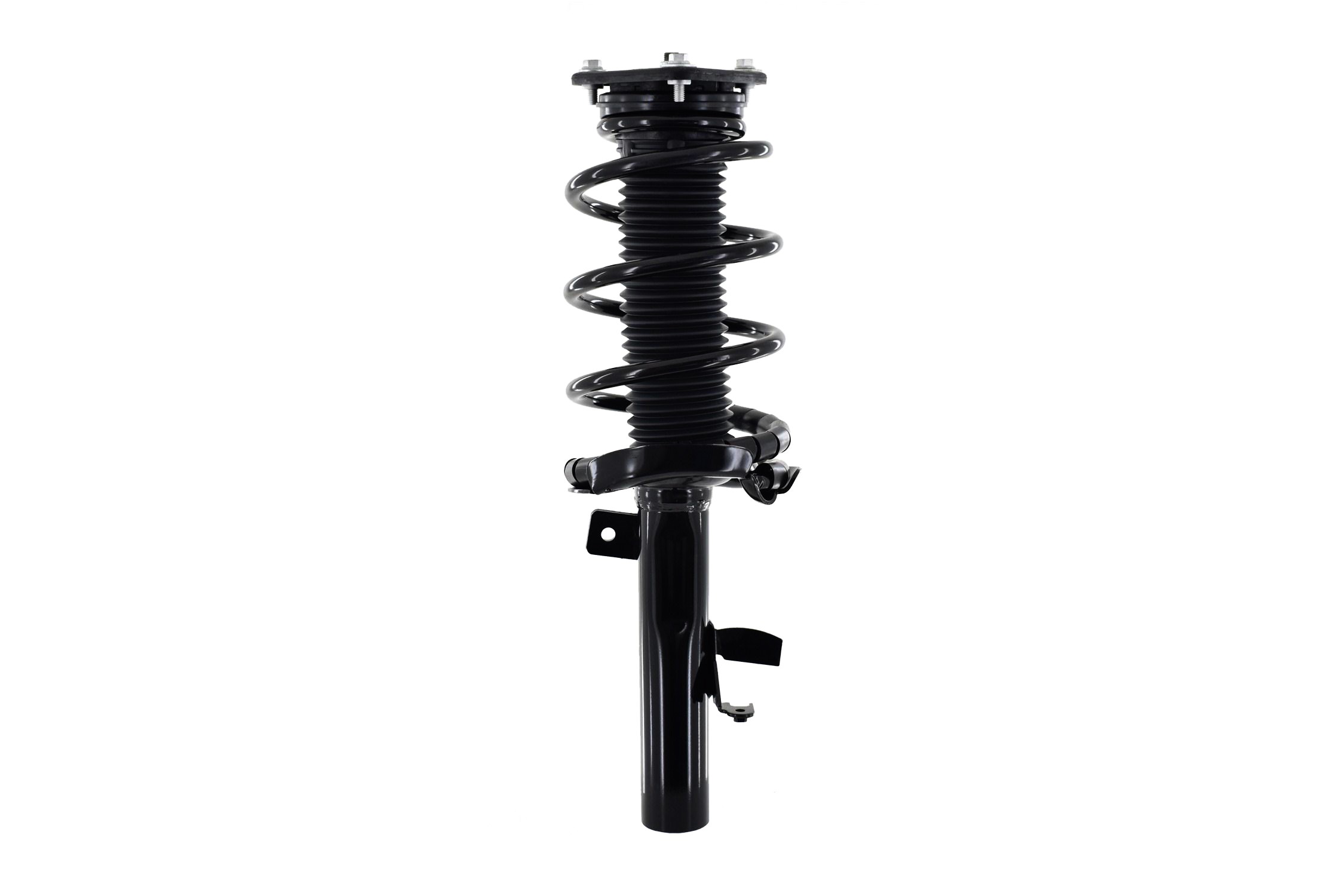 Suspension Strut and Coil Spring Assembly