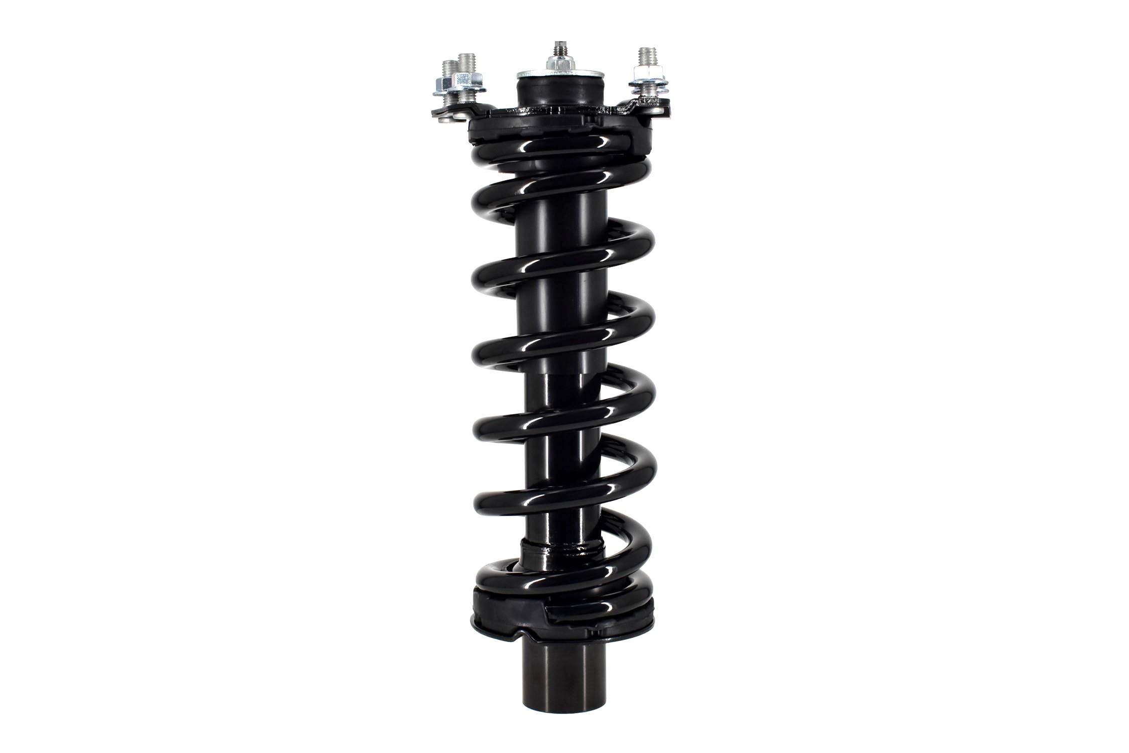 Suspension Strut and Coil Spring Assembly