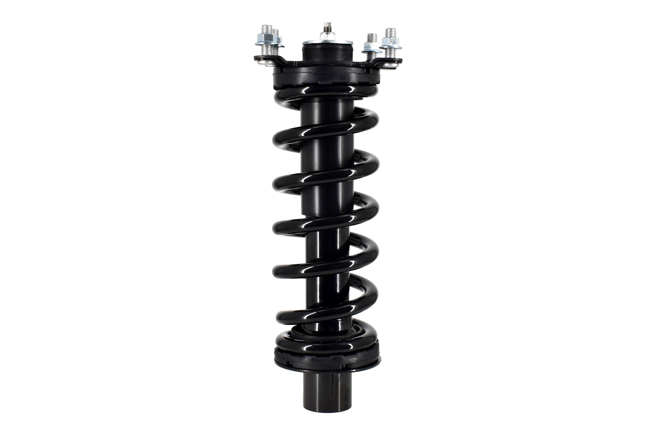 Suspension Strut and Coil Spring Assembly