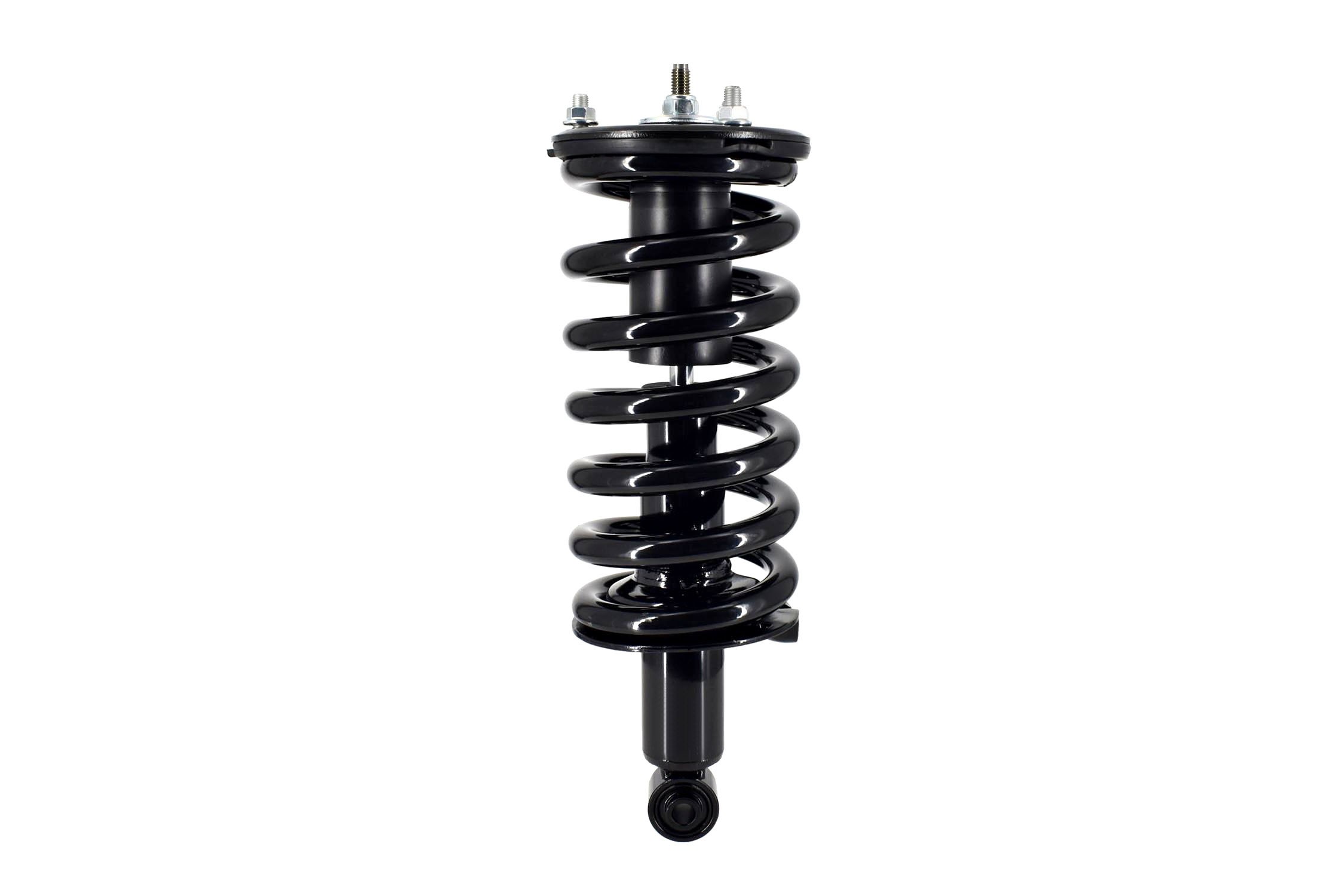 Suspension Strut and Coil Spring Assembly
