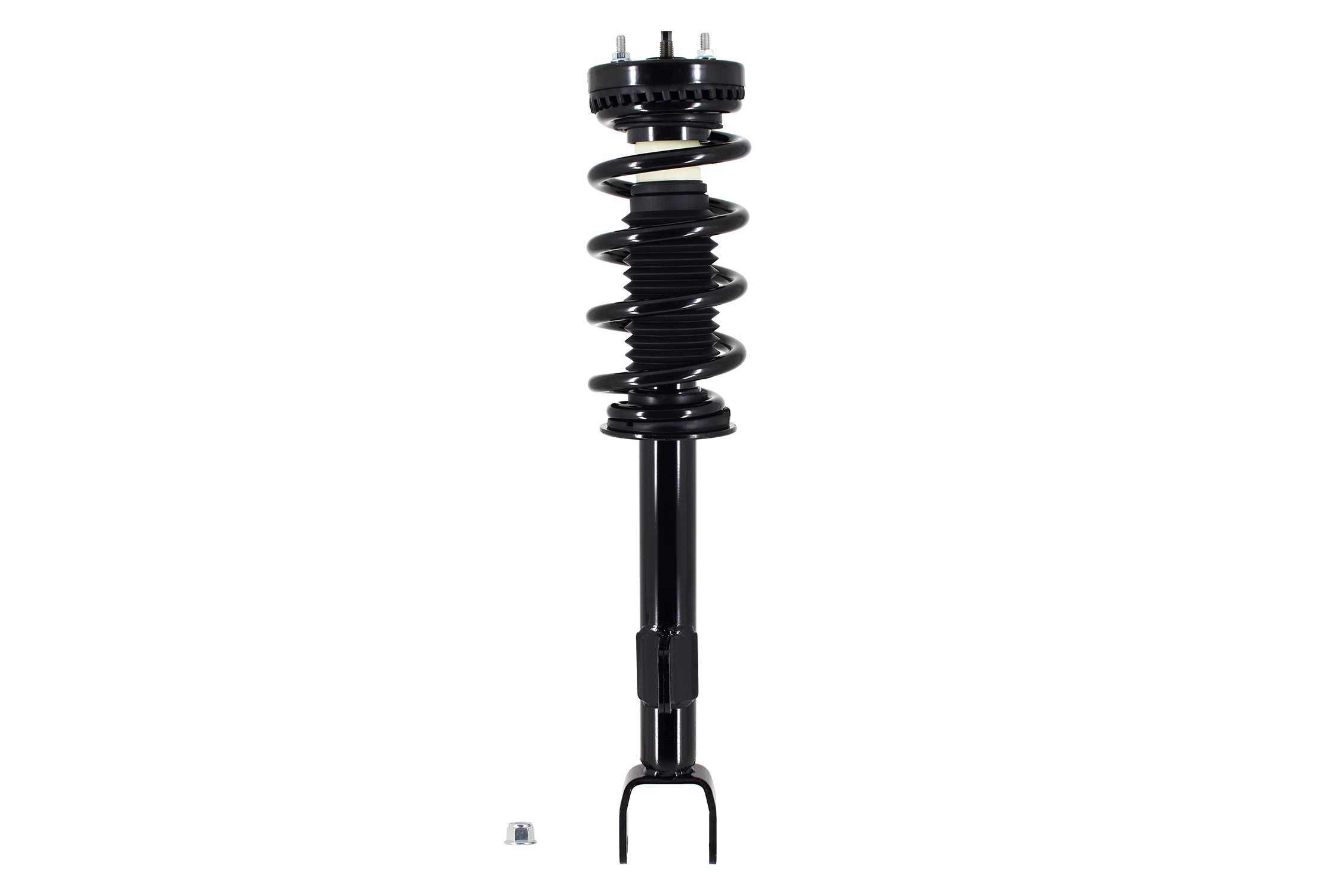 Suspension Strut and Coil Spring Assembly