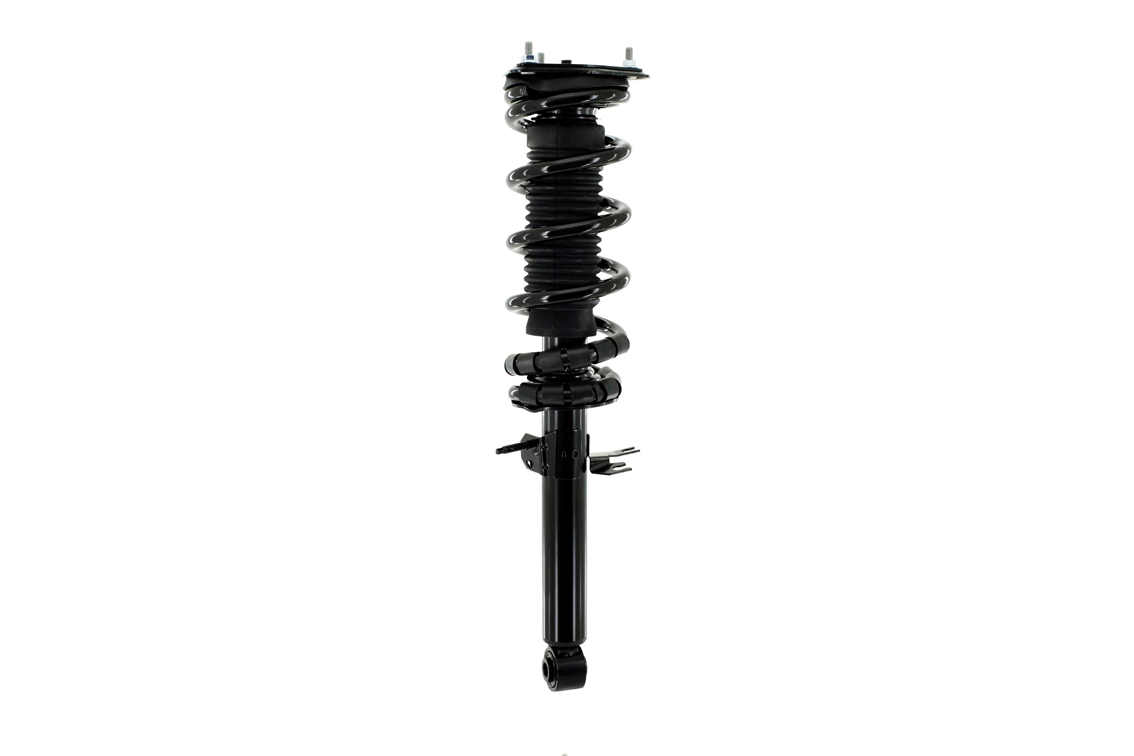 Suspension Strut and Coil Spring Assembly
