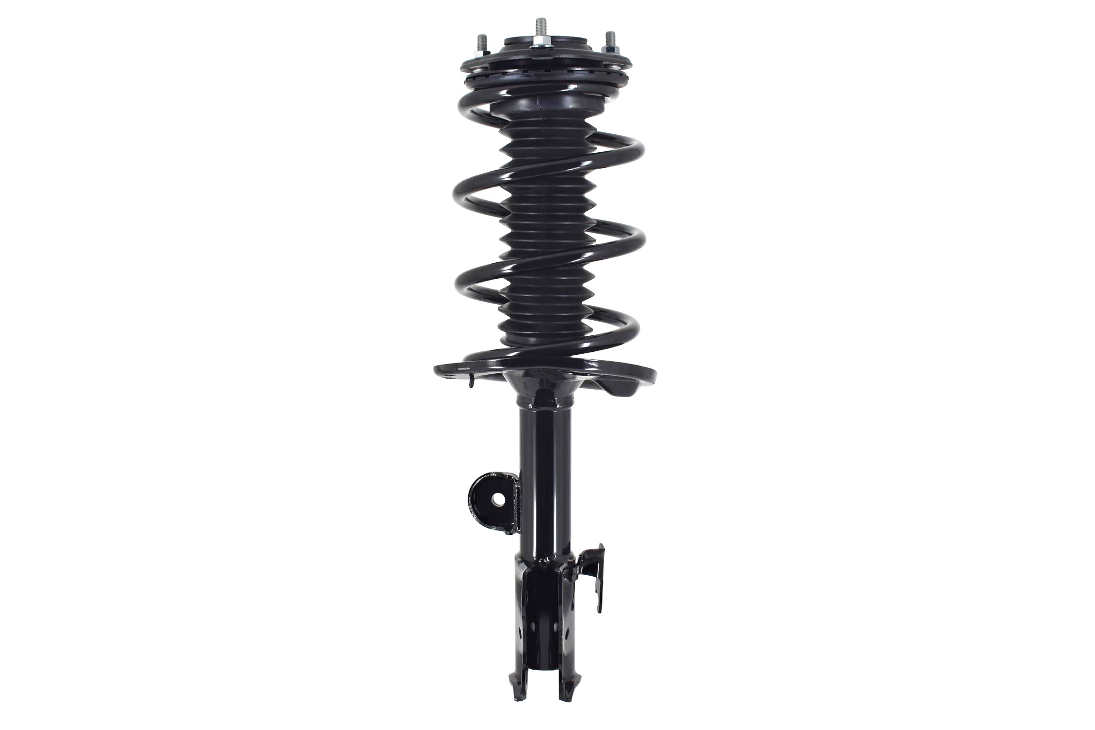 Suspension Strut and Coil Spring Assembly