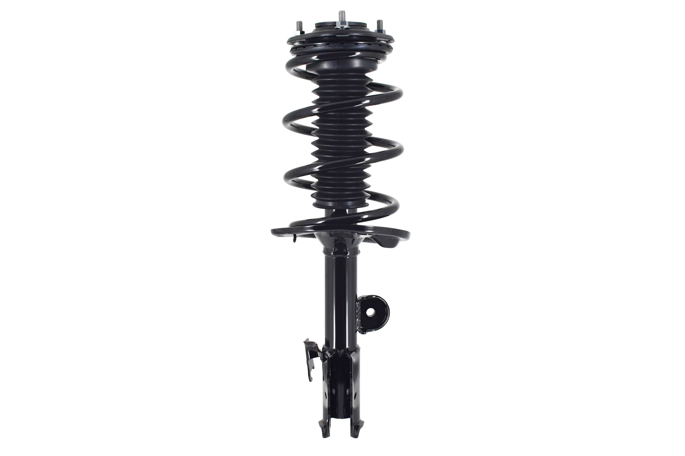 Suspension Strut and Coil Spring Assembly