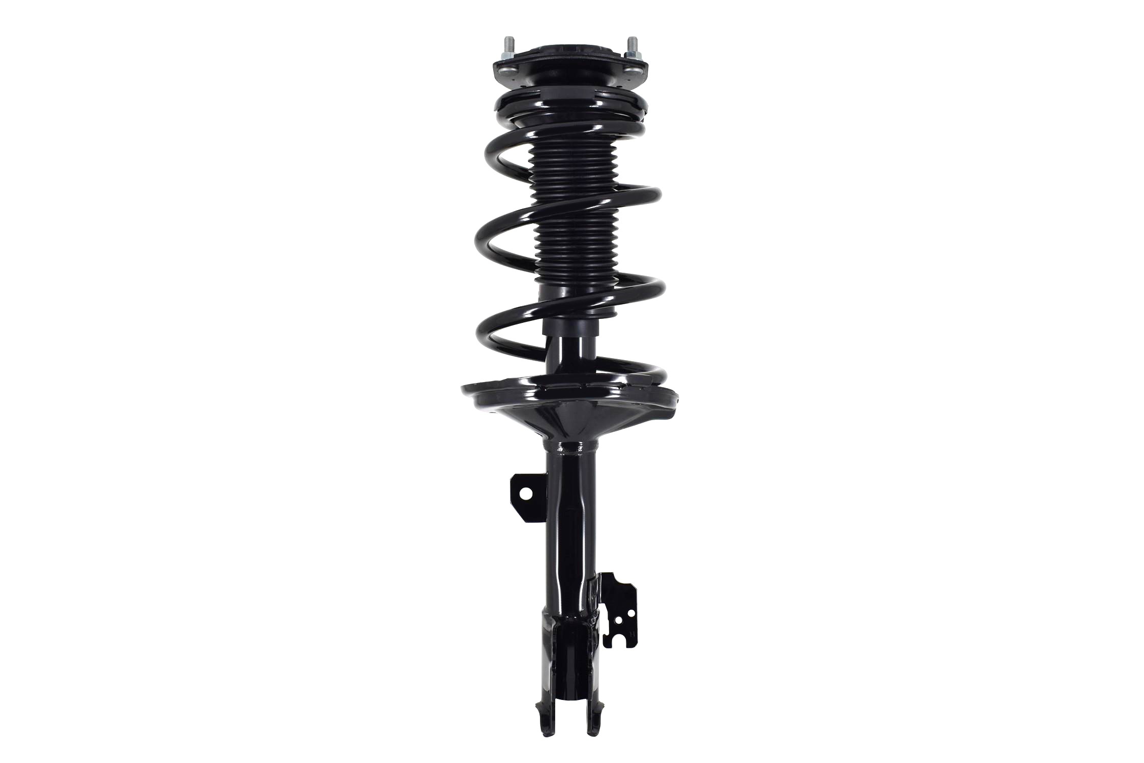 Suspension Strut and Coil Spring Assembly