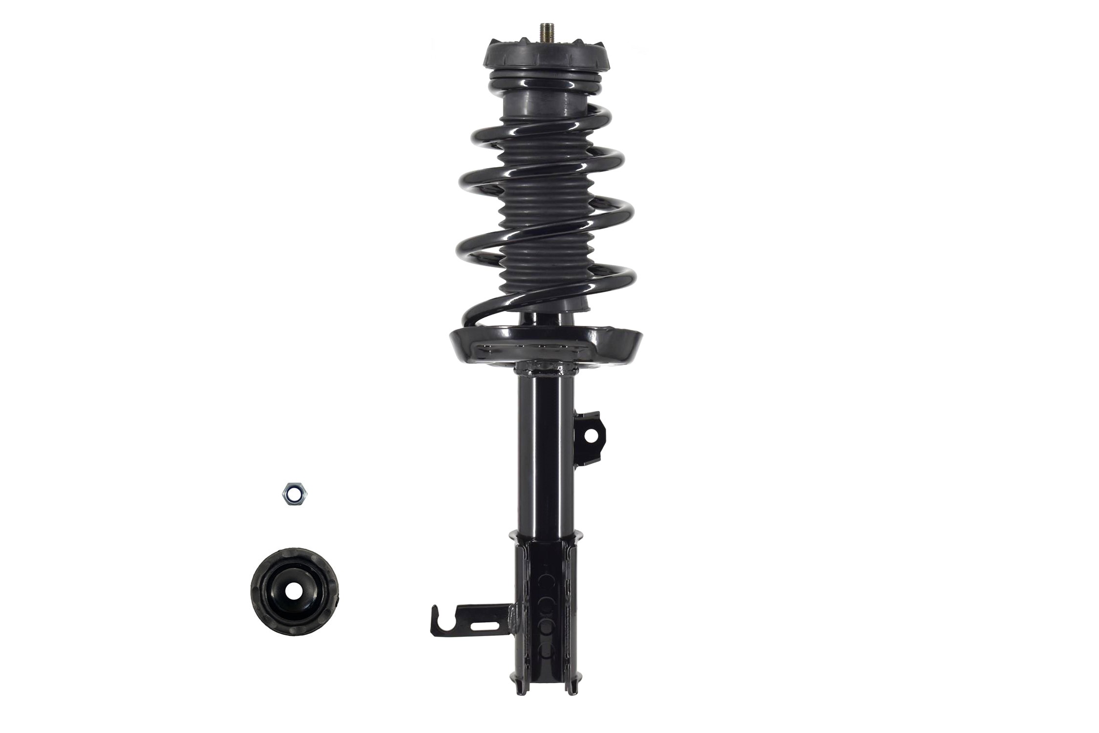 Suspension Strut and Coil Spring Assembly