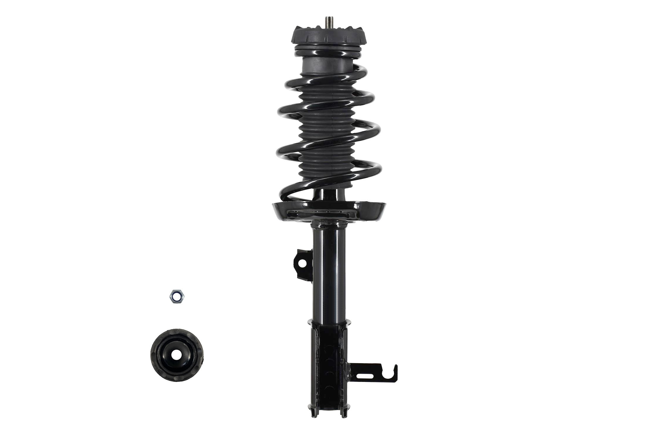 Suspension Strut and Coil Spring Assembly