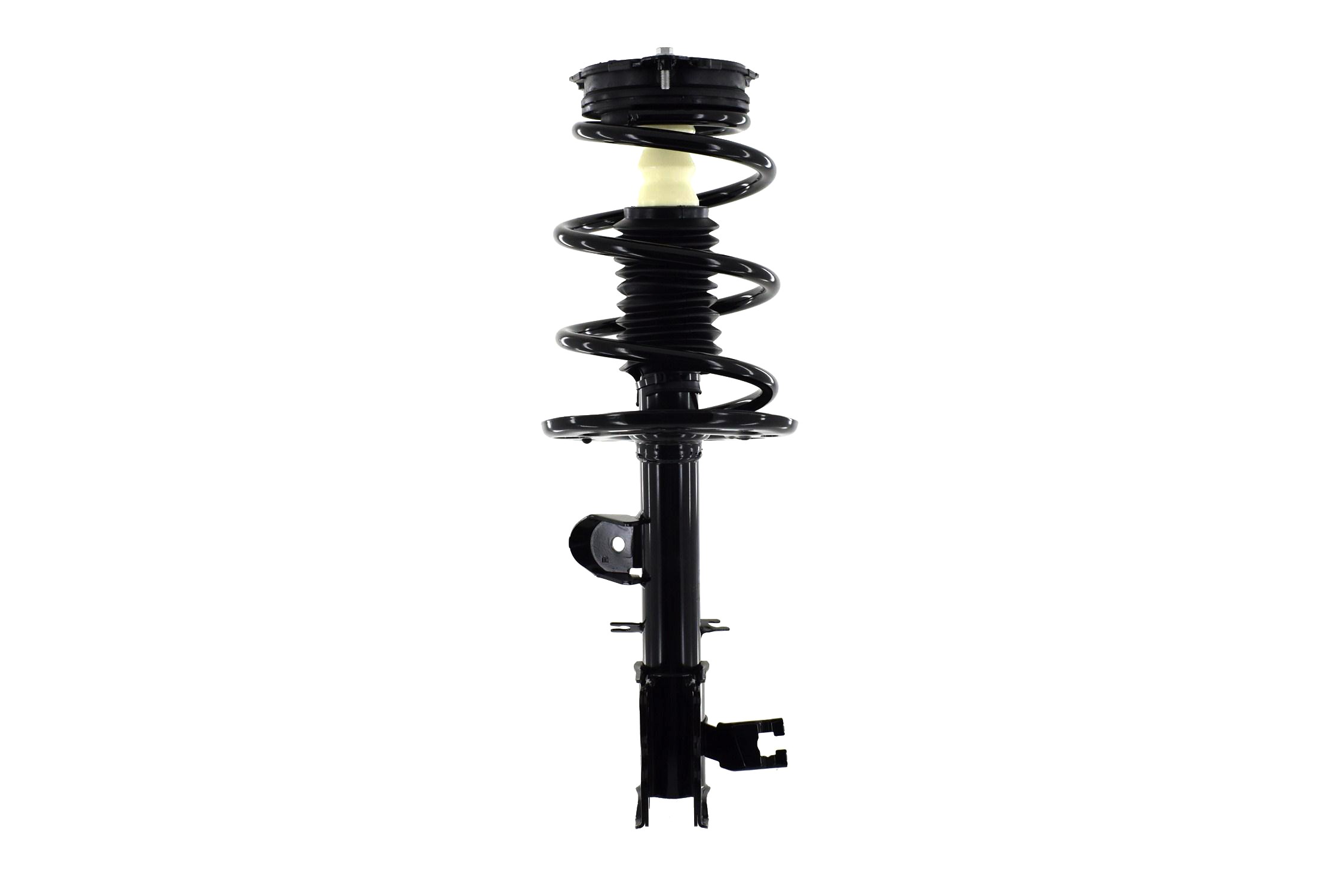 Suspension Strut and Coil Spring Assembly