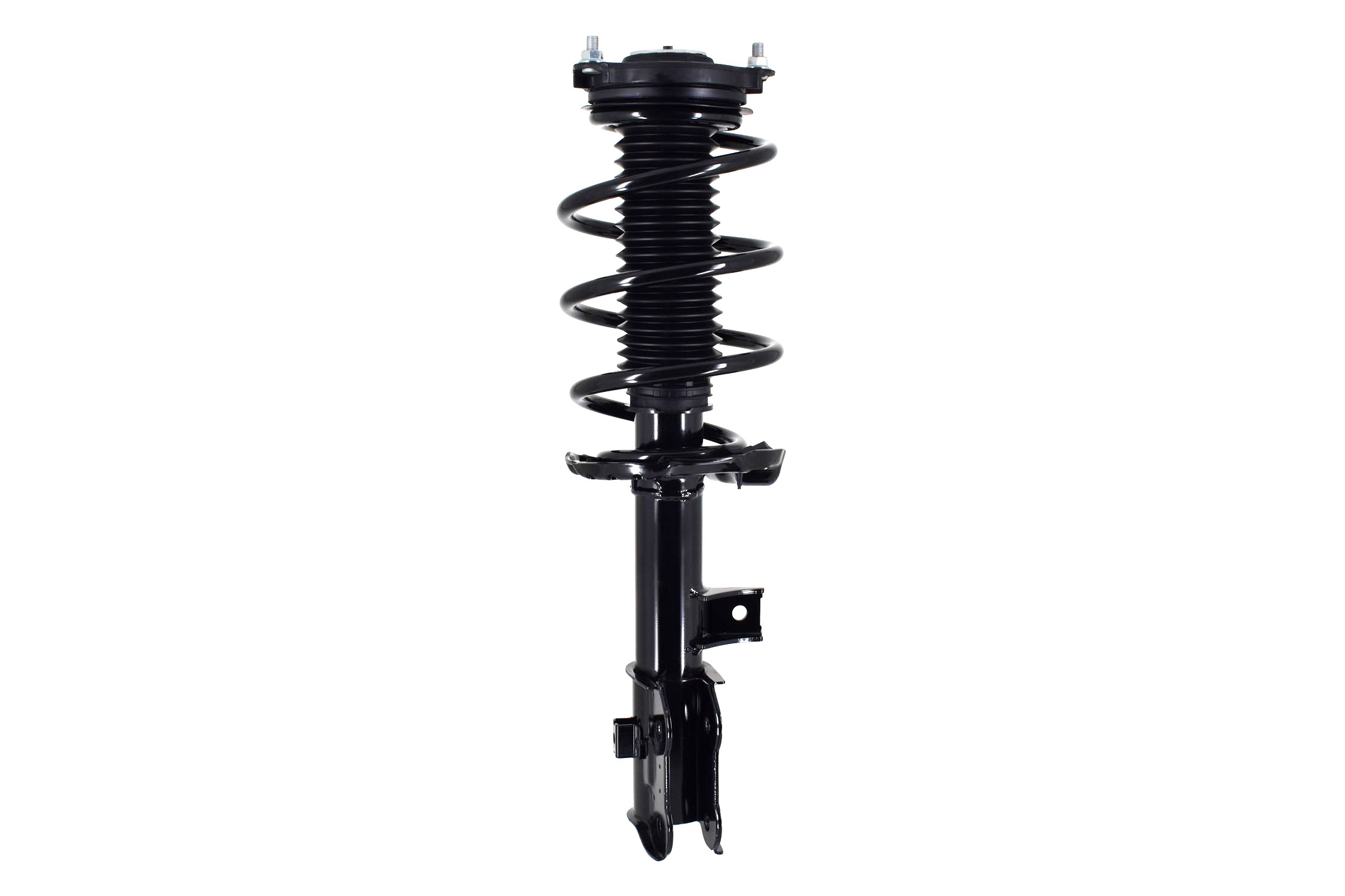 Suspension Strut and Coil Spring Assembly