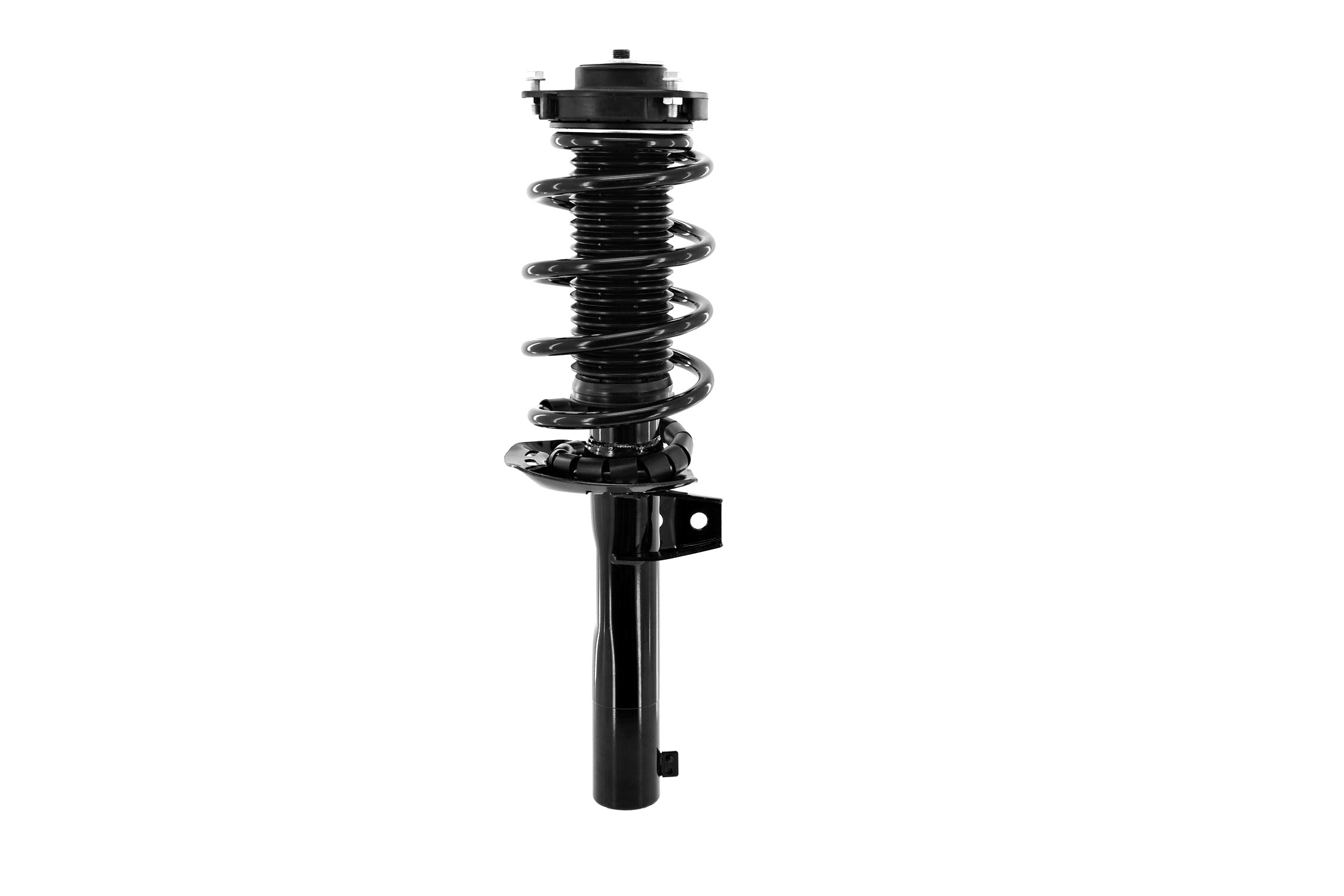 Suspension Strut and Coil Spring Assembly