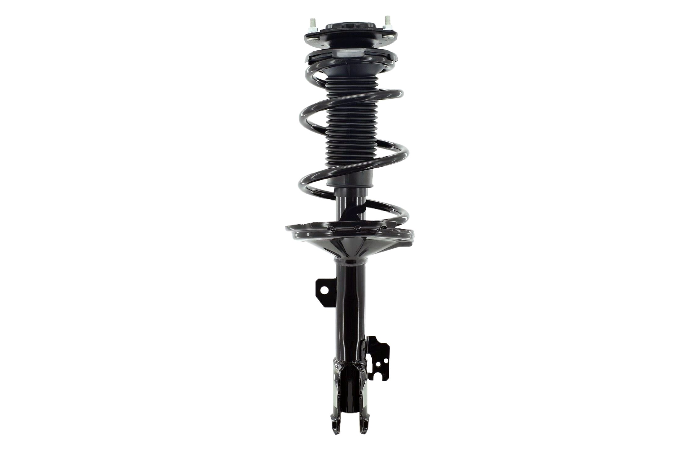 Suspension Strut and Coil Spring Assembly