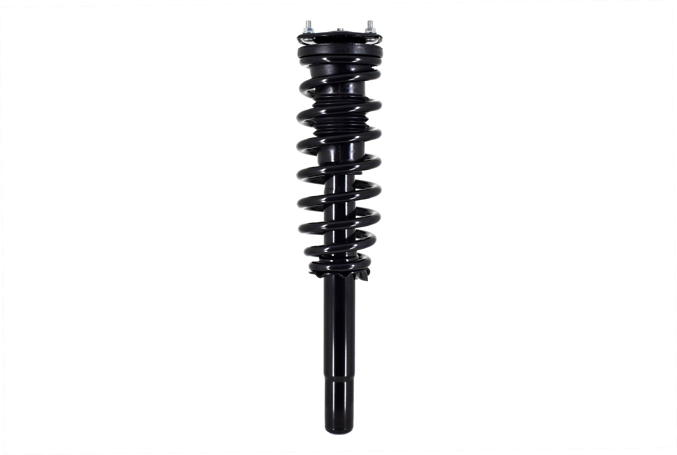 Suspension Strut and Coil Spring Assembly