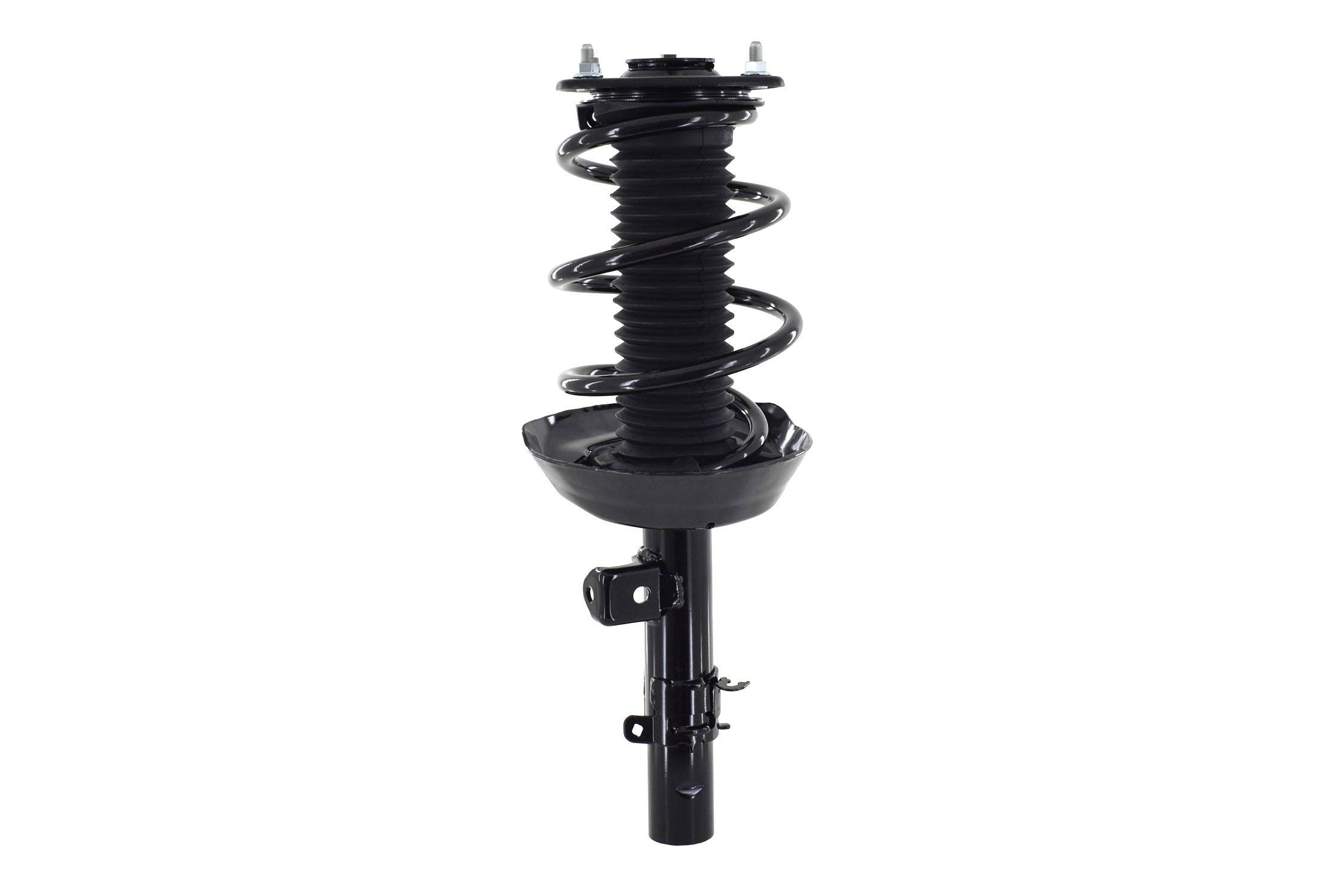 Suspension Strut and Coil Spring Assembly