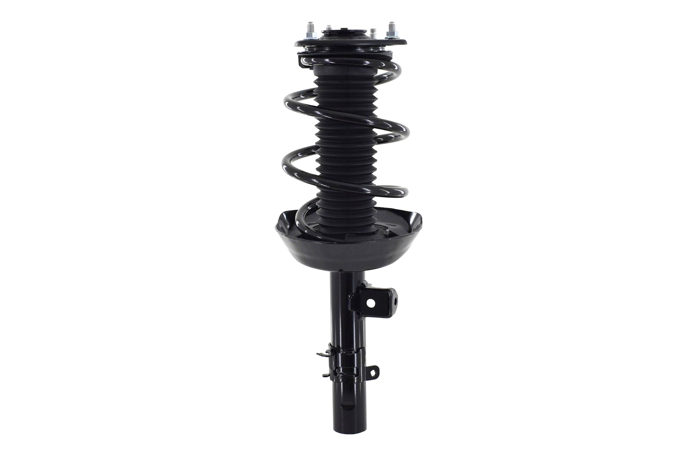 Suspension Strut and Coil Spring Assembly