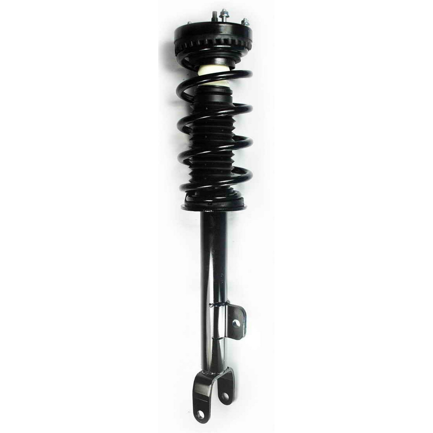 Suspension Strut and Coil Spring Assembly