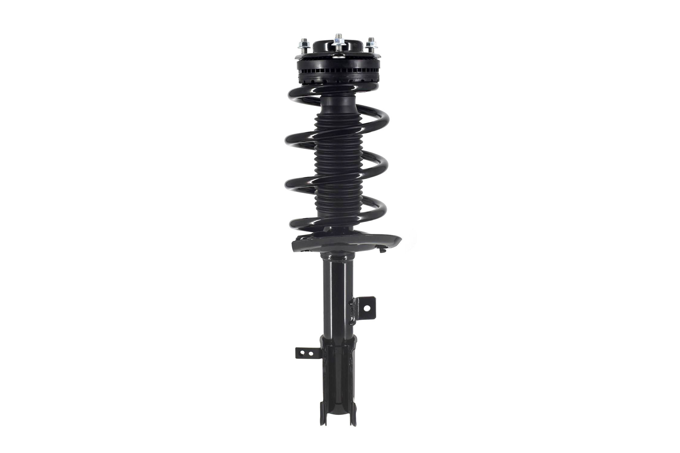 Suspension Strut and Coil Spring Assembly