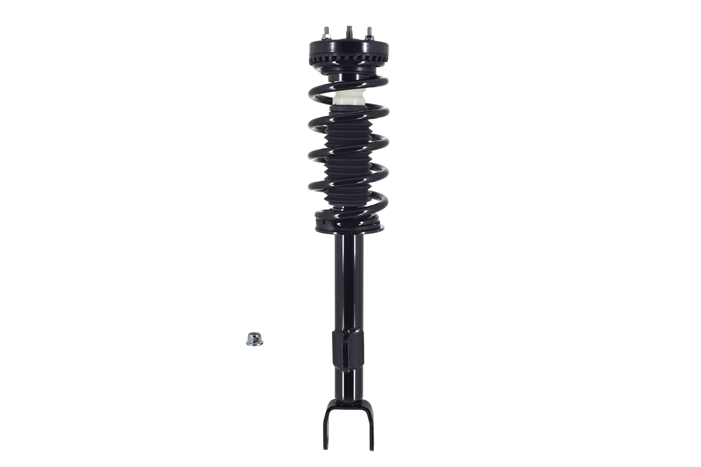 Suspension Strut and Coil Spring Assembly