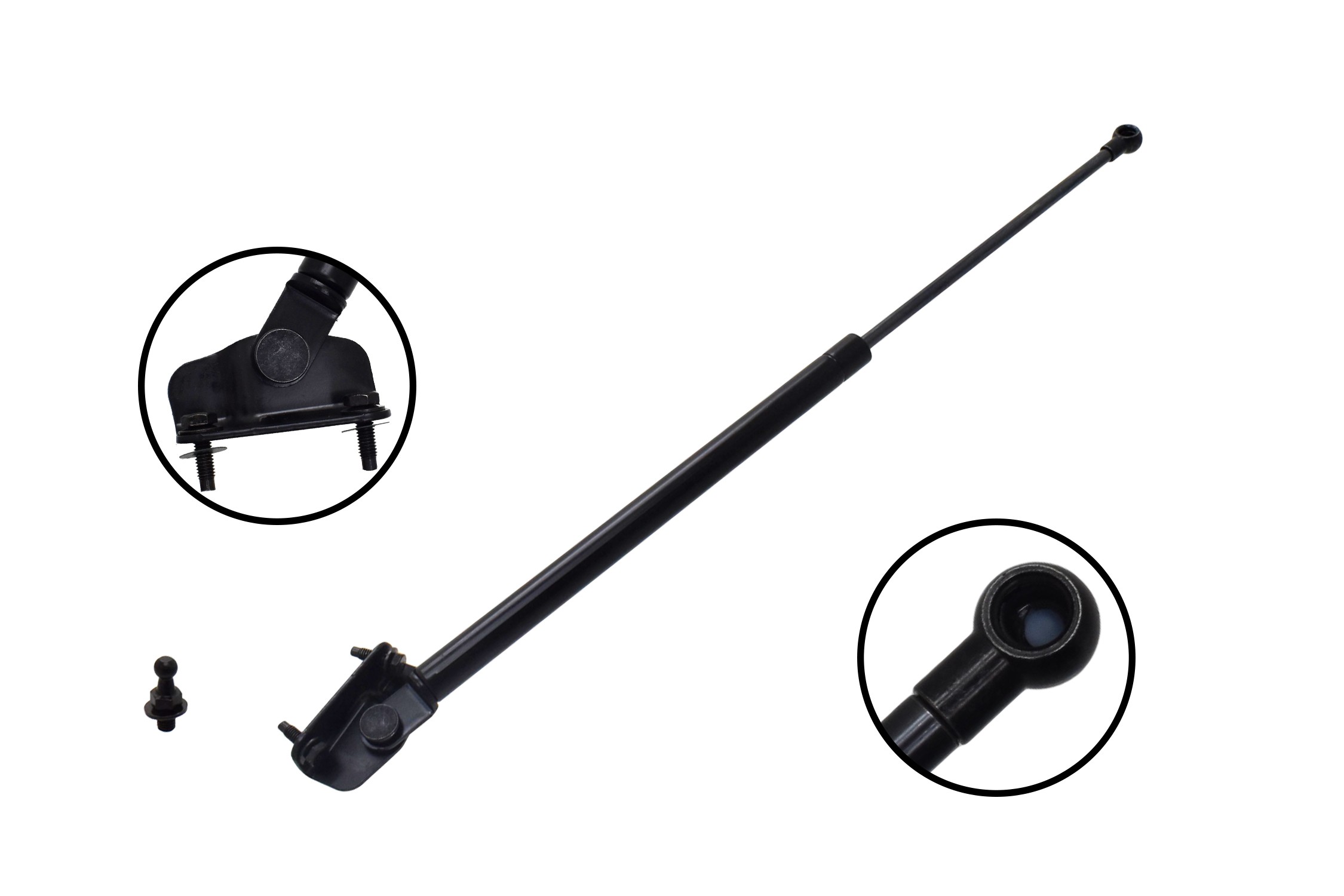 Liftgate Lift Support