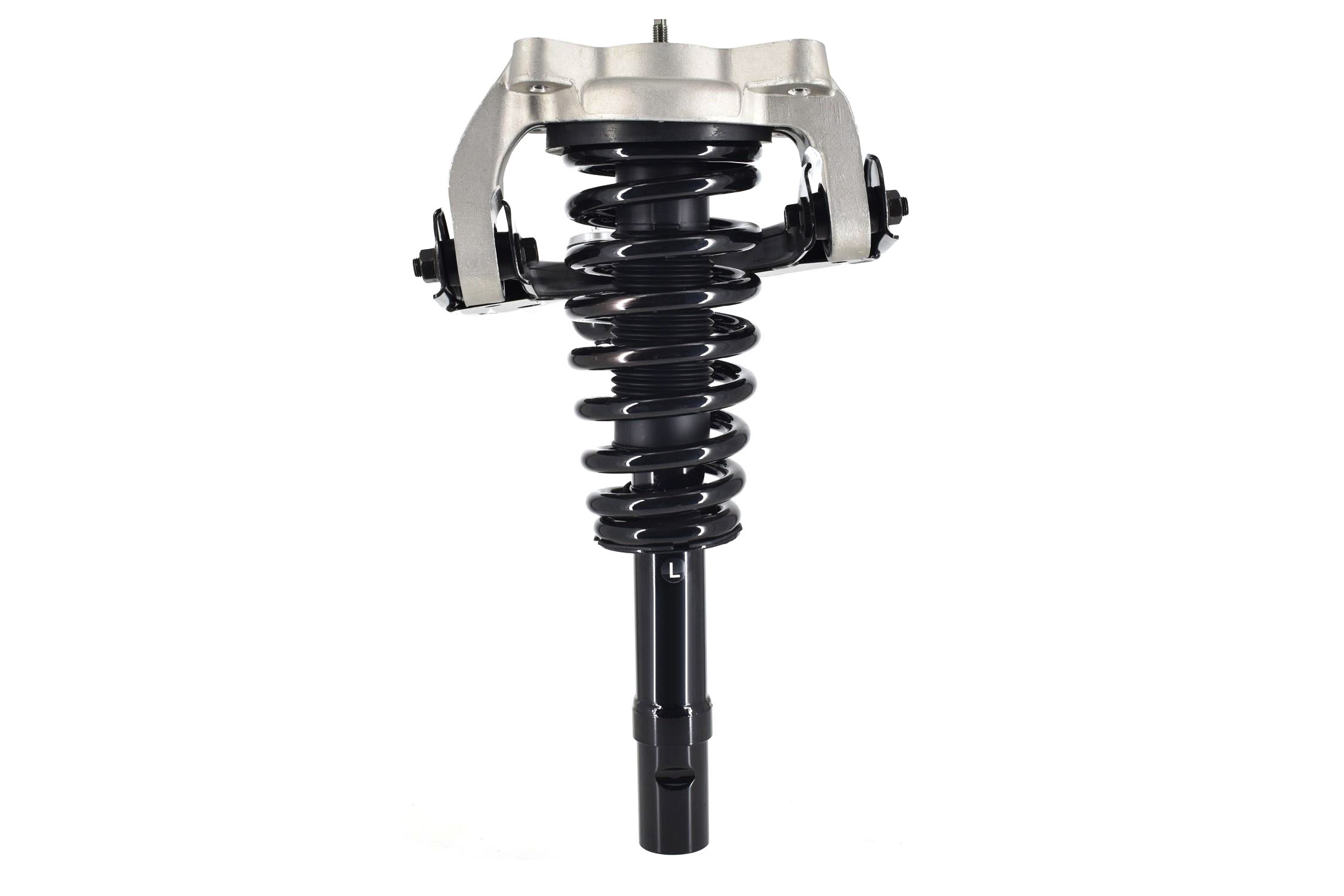 Suspension Strut and Coil Spring Assembly
