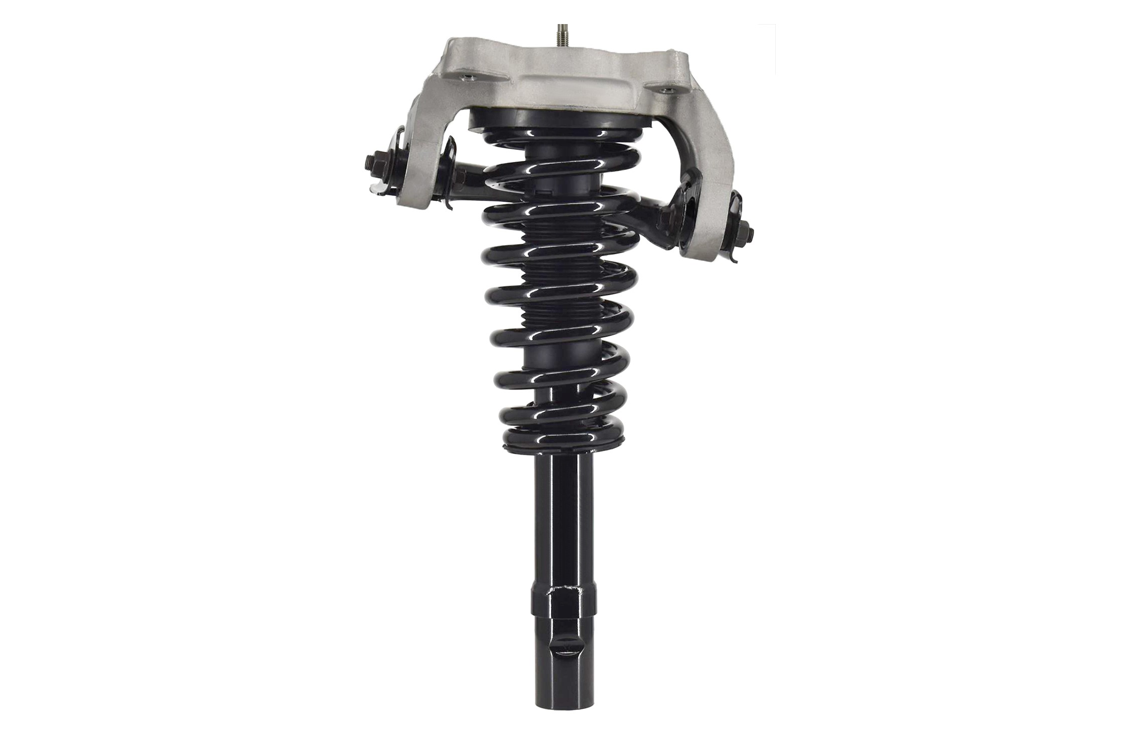 Suspension Strut and Coil Spring Assembly