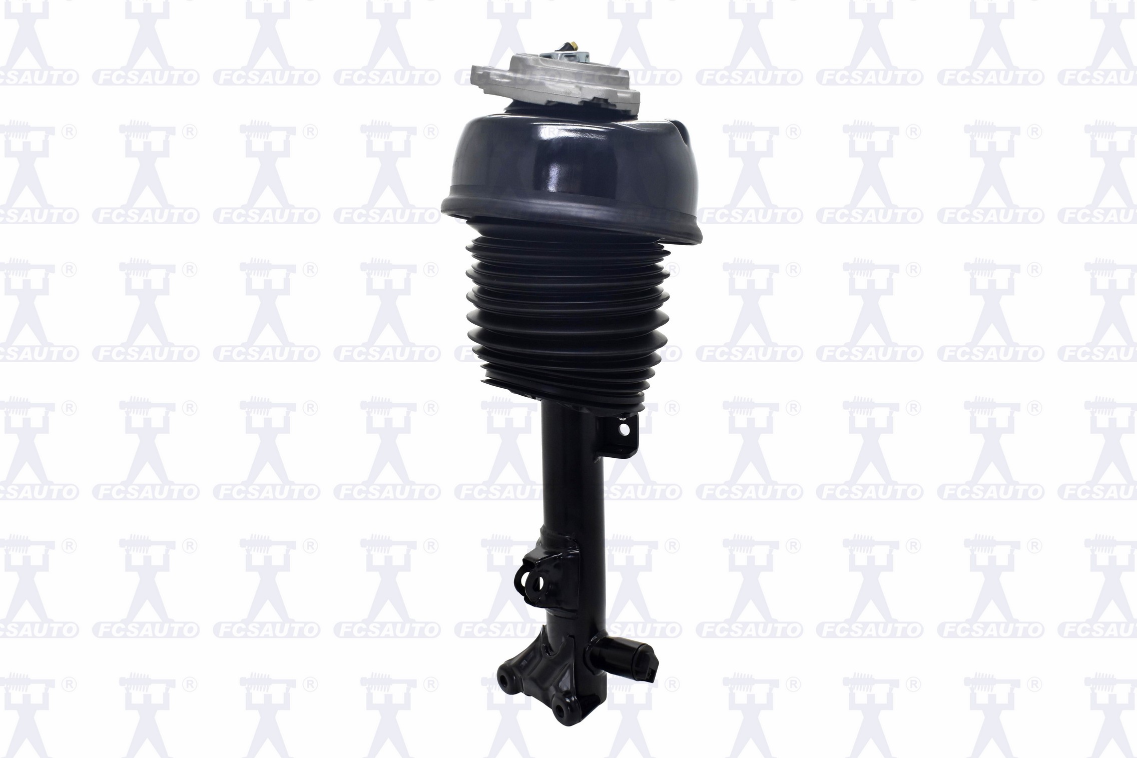 Electronic Air Suspension Strut Assembly