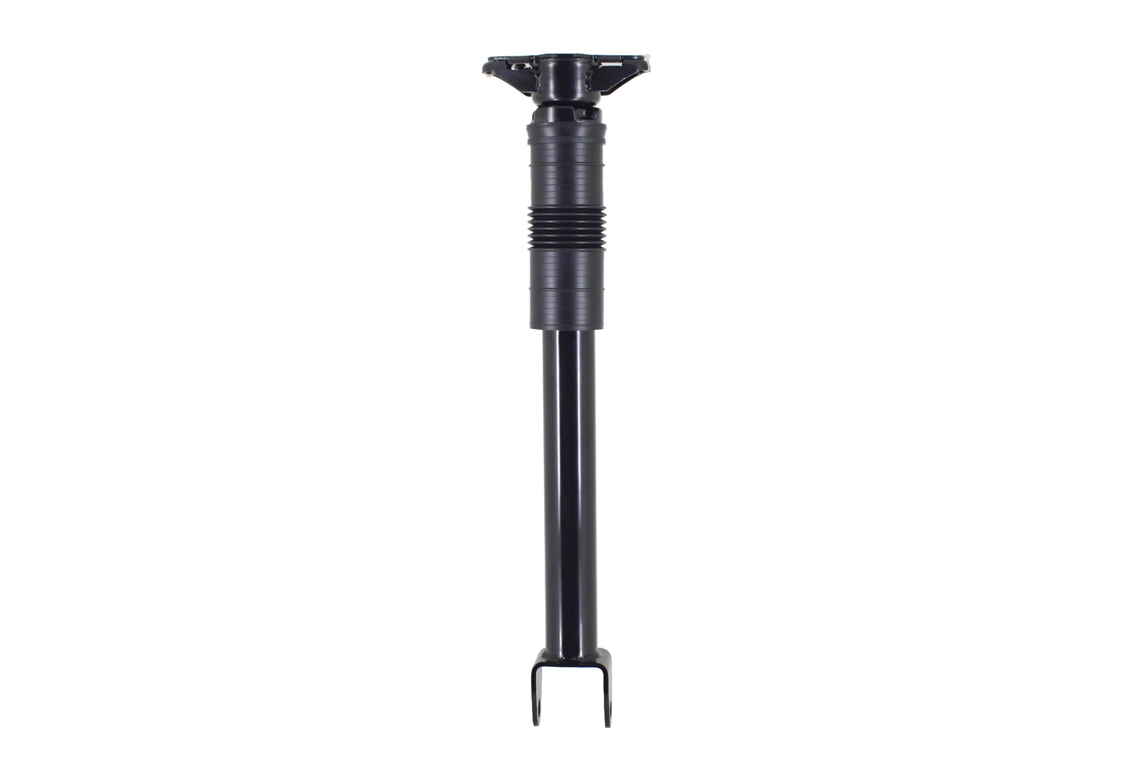 Shock Absorber Assembly