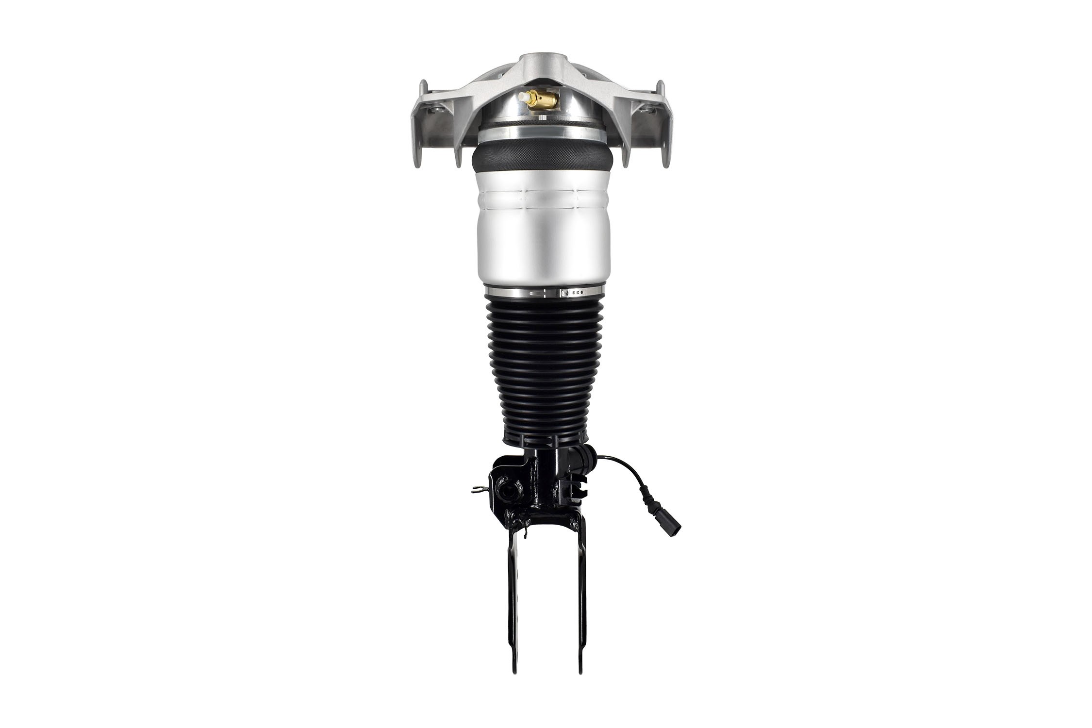 Electronic Air Suspension Strut Assembly