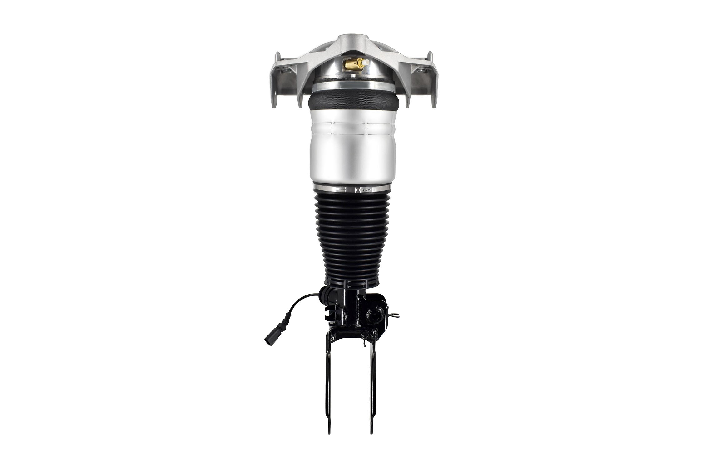 Electronic Air Suspension Strut Assembly