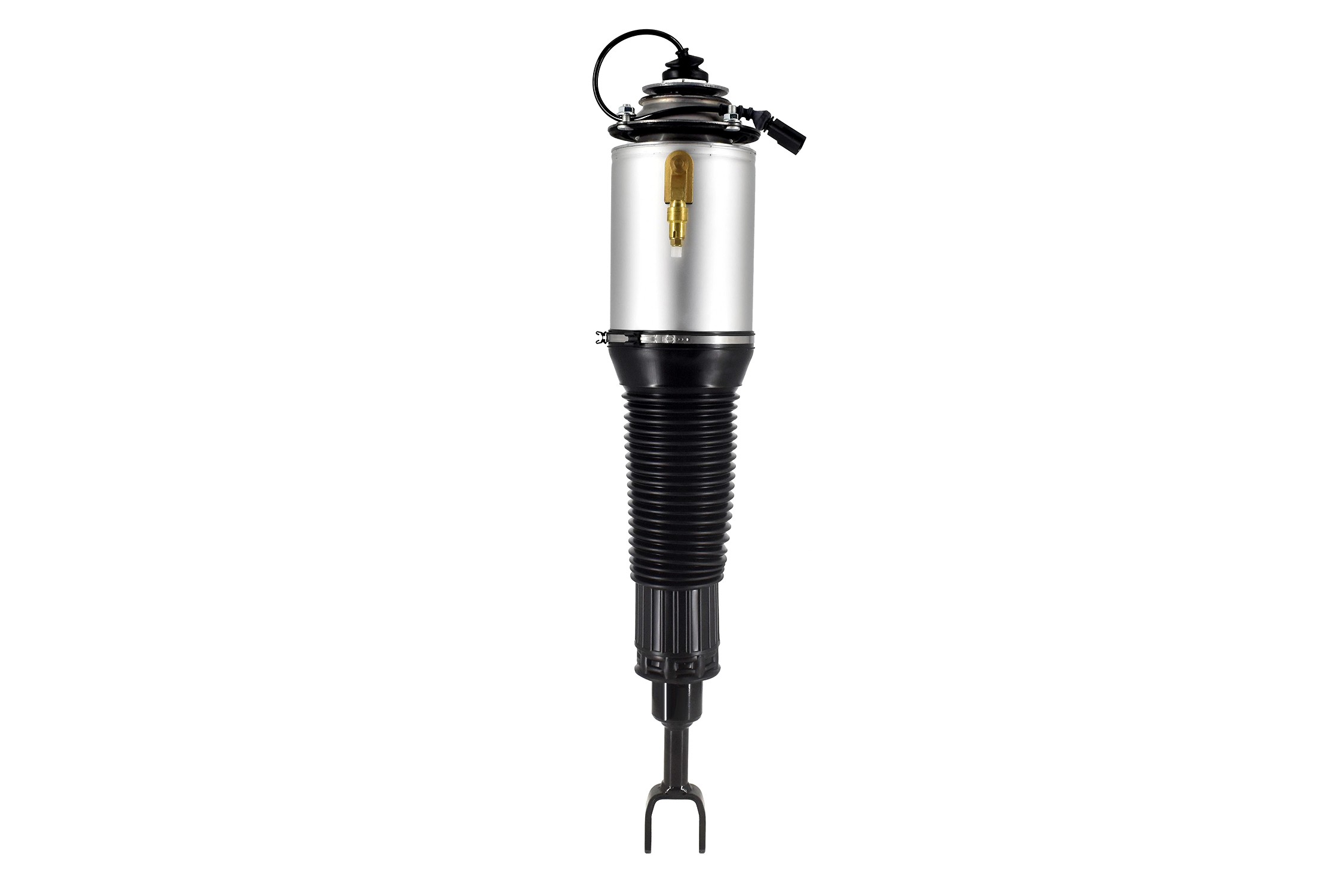 Electronic Air Suspension Strut Assembly