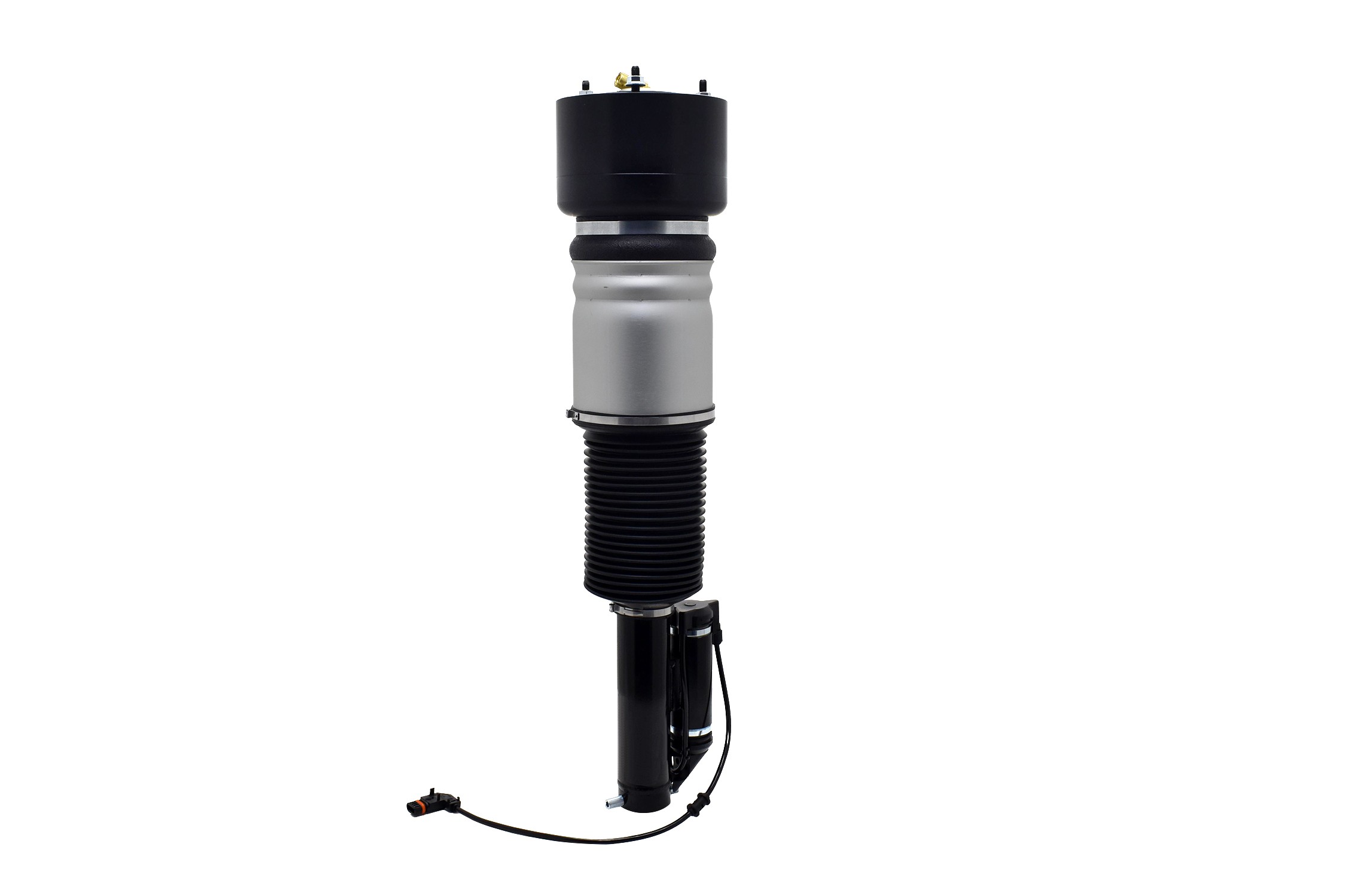 Electronic Air Suspension Strut Assembly