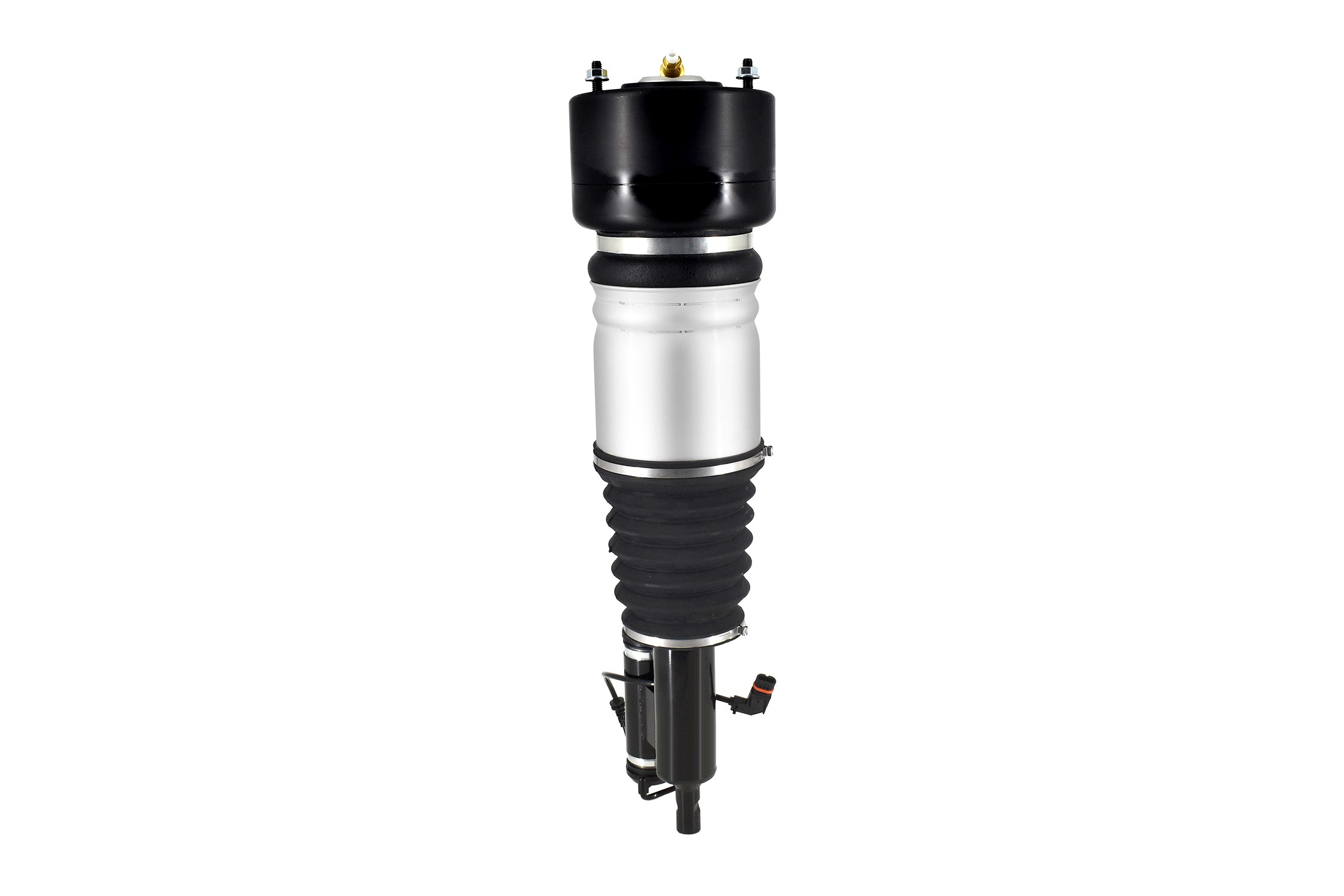 Electronic Air Suspension Strut Assembly