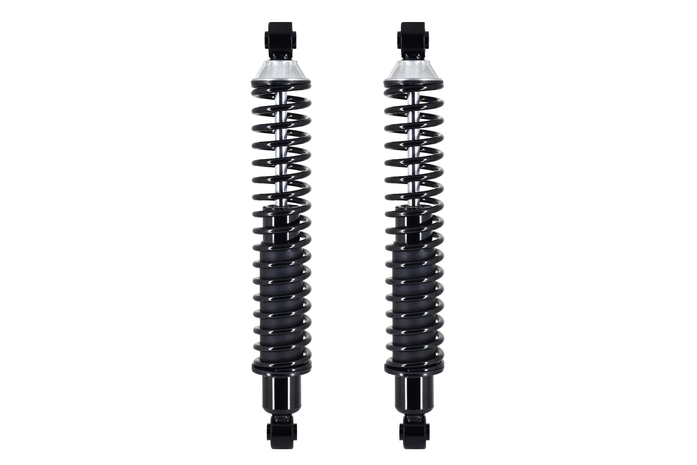 Shock Absorber and Coil Spring Assembly