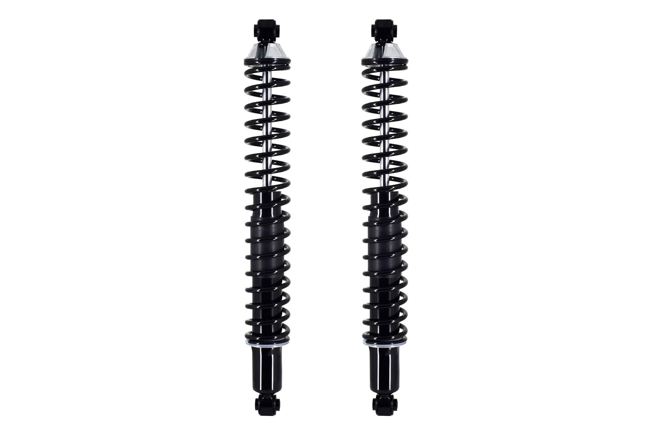 Shock Absorber and Coil Spring Assembly