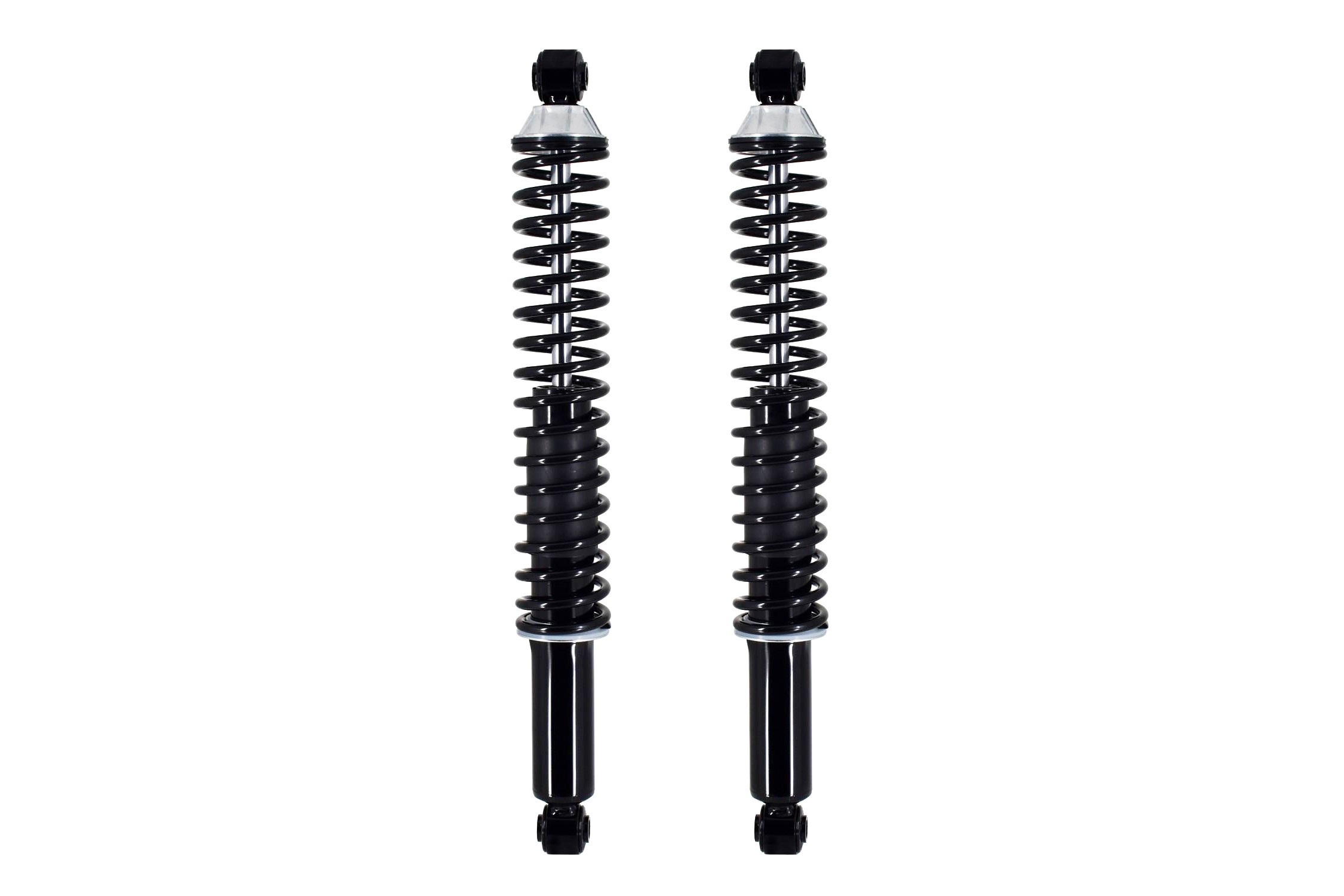 Shock Absorber and Coil Spring Assembly