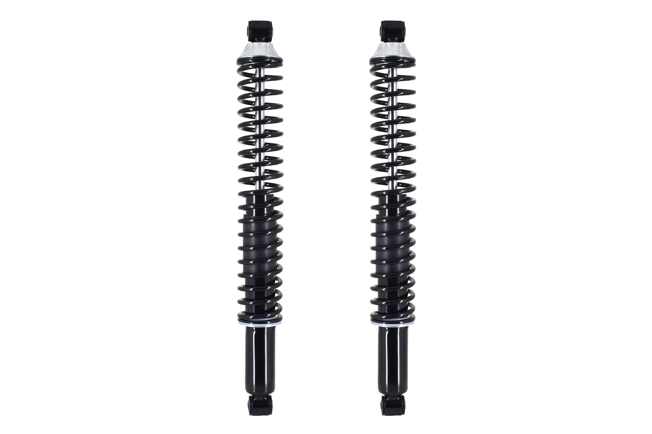 Shock Absorber and Coil Spring Assembly
