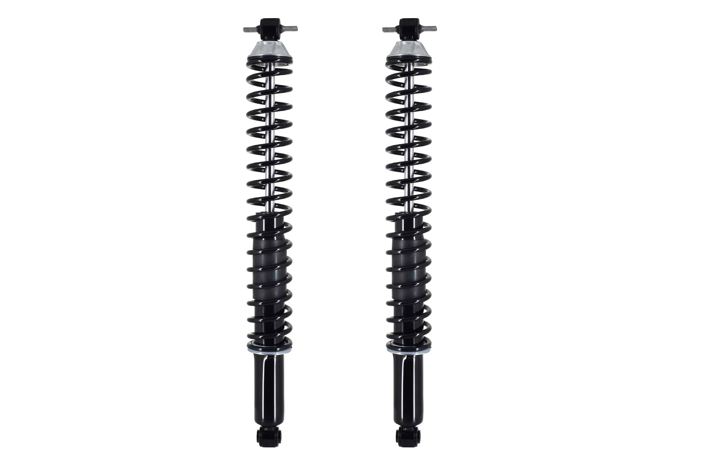 Shock Absorber and Coil Spring Assembly