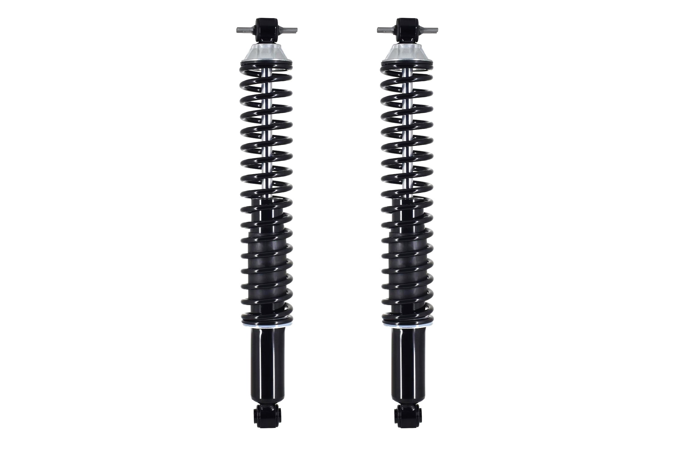 Shock Absorber and Coil Spring Assembly