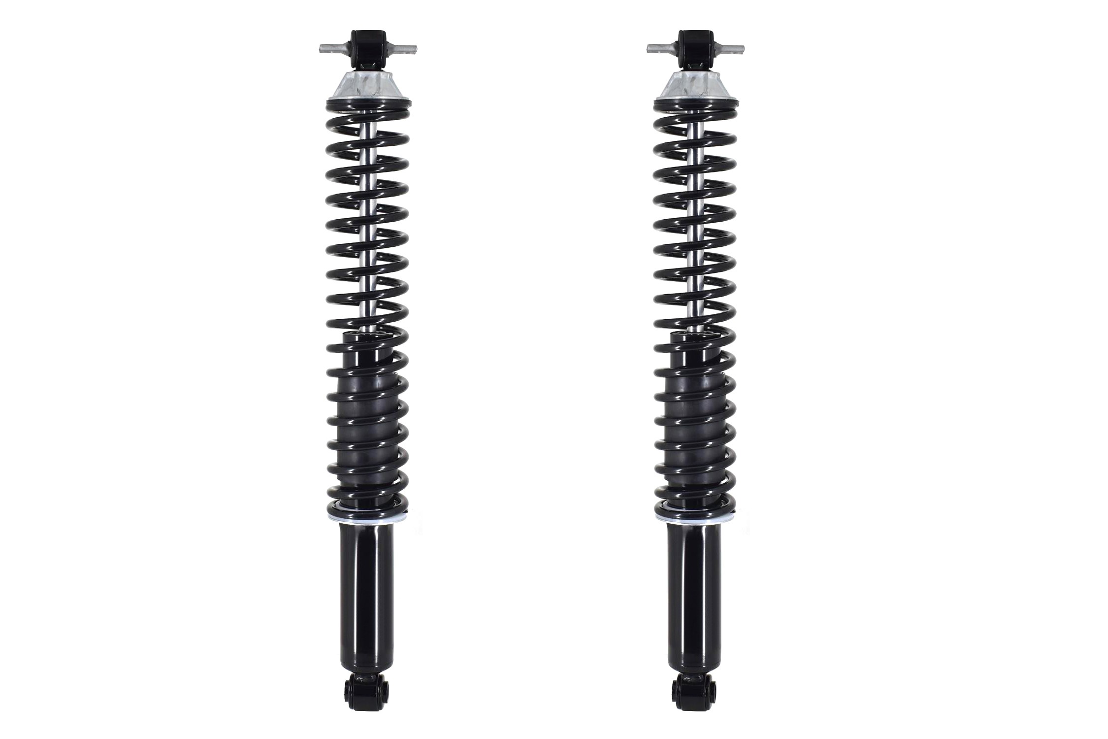 Shock Absorber and Coil Spring Assembly
