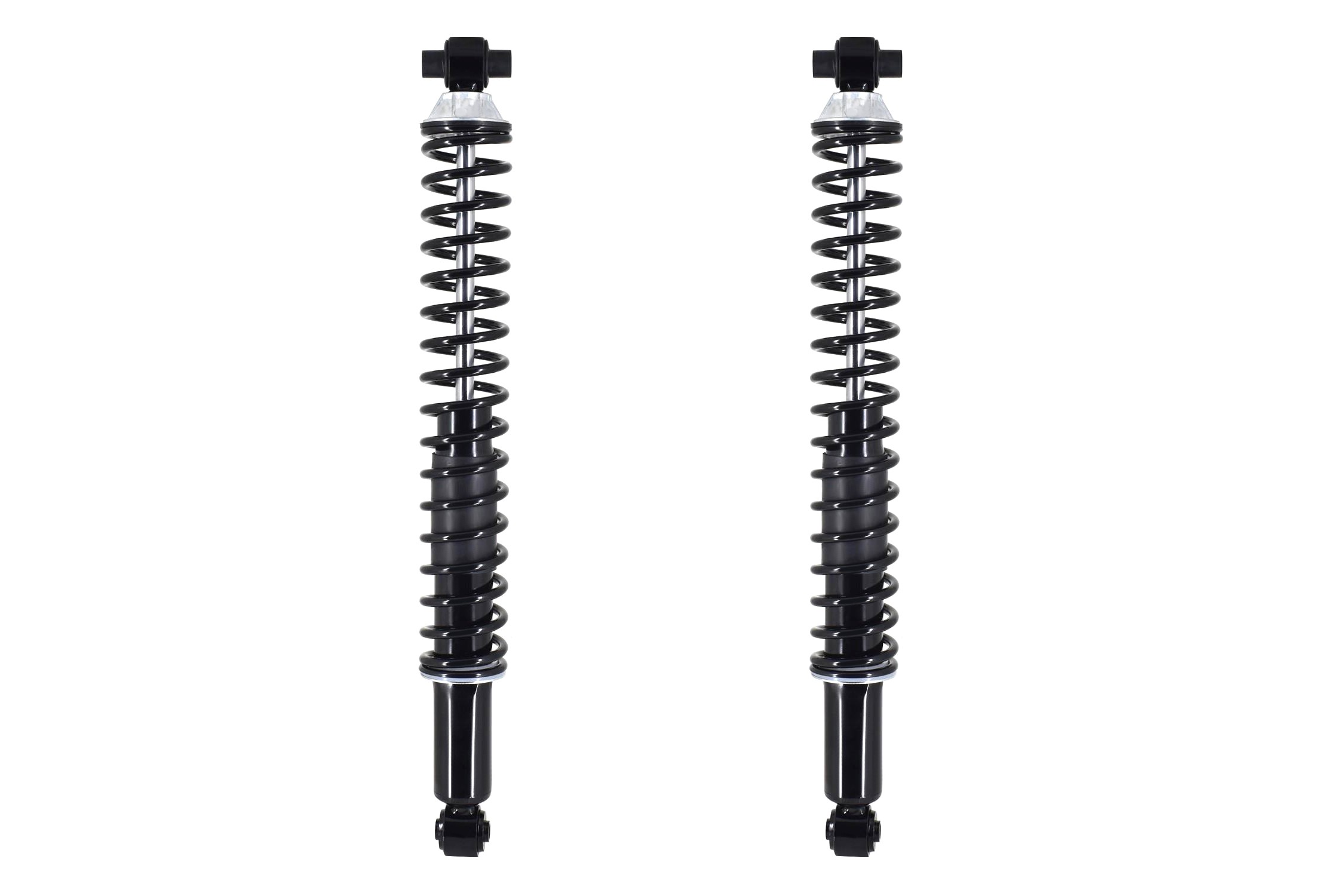 Shock Absorber and Coil Spring Assembly