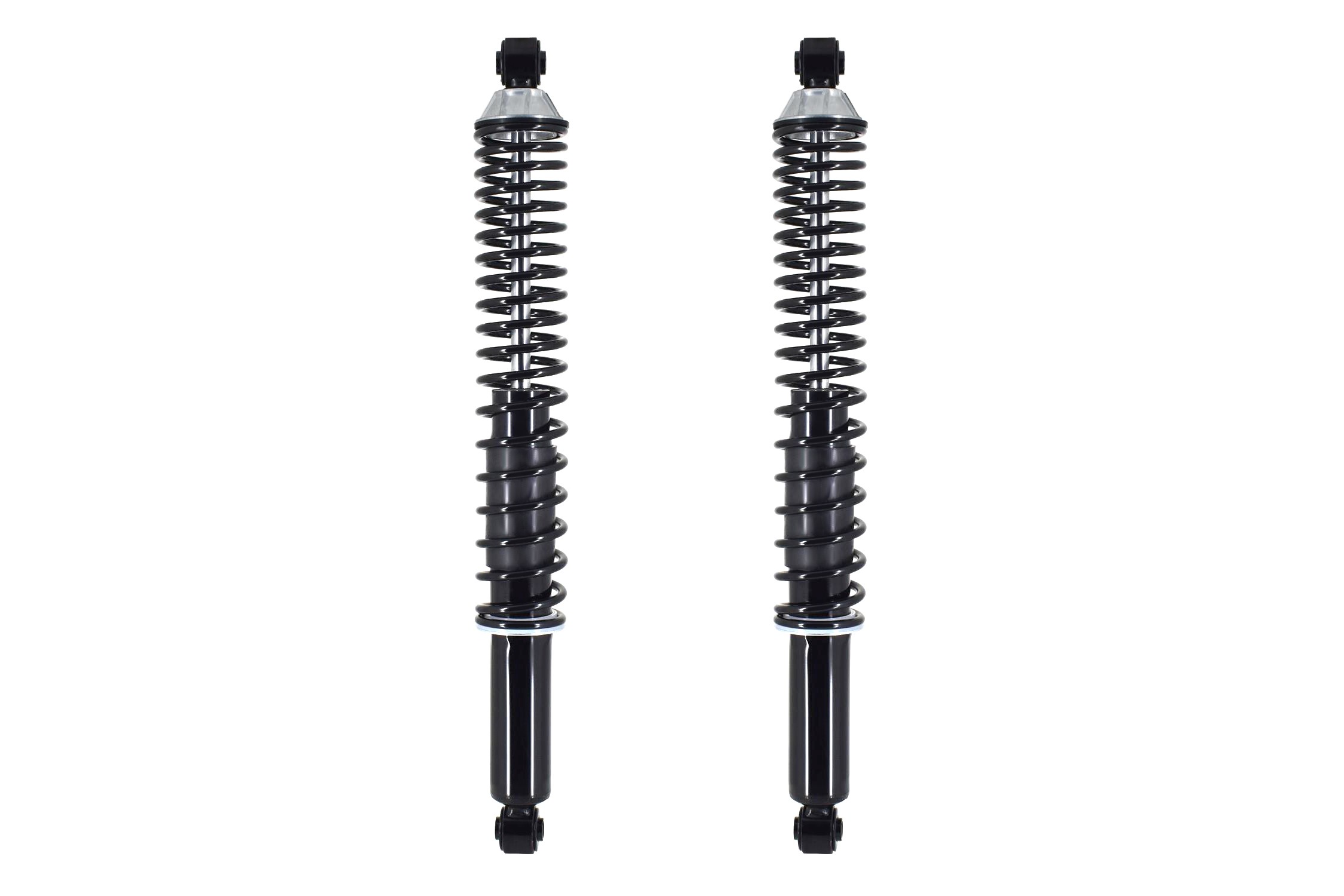 Shock Absorber and Coil Spring Assembly