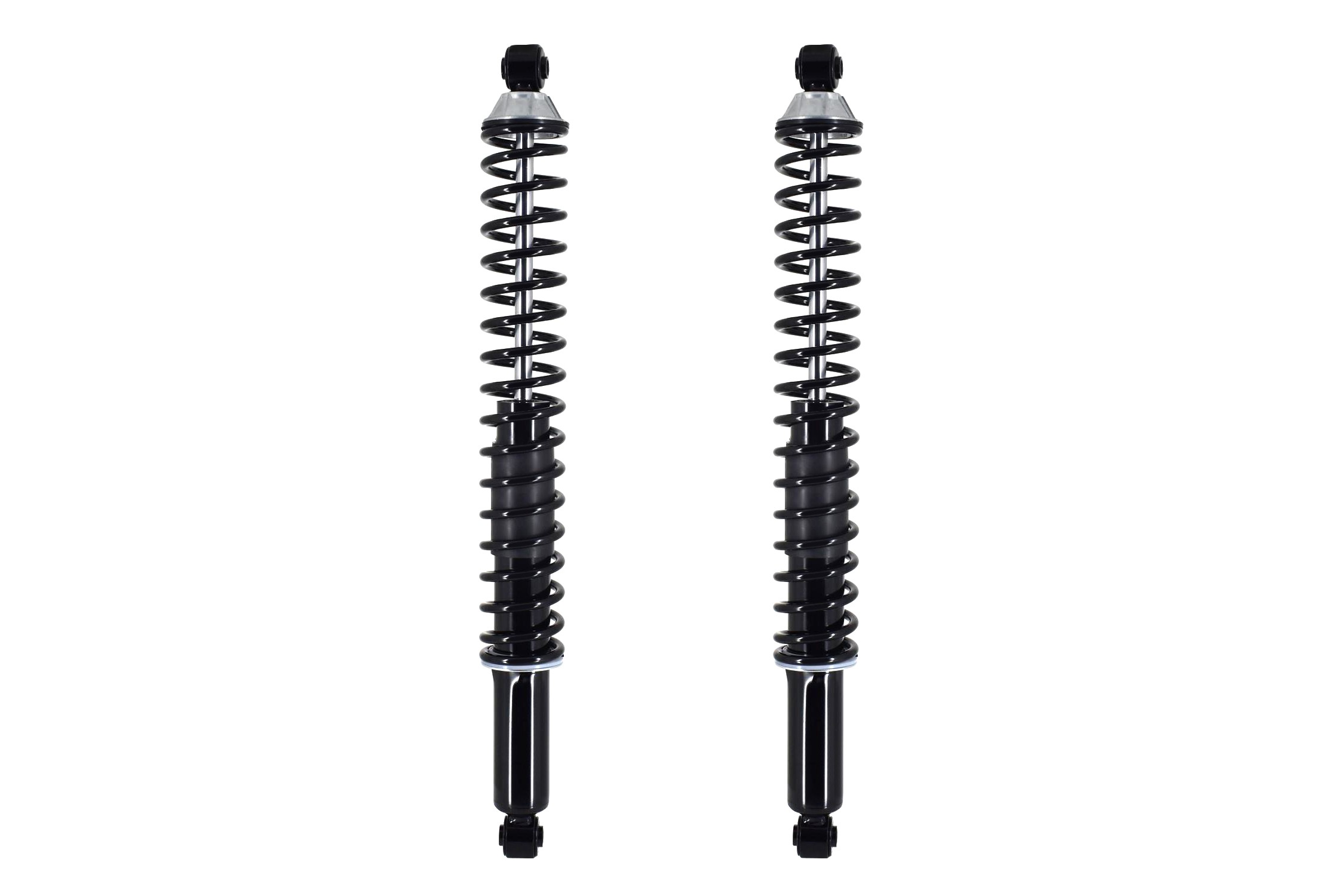 Shock Absorber and Coil Spring Assembly