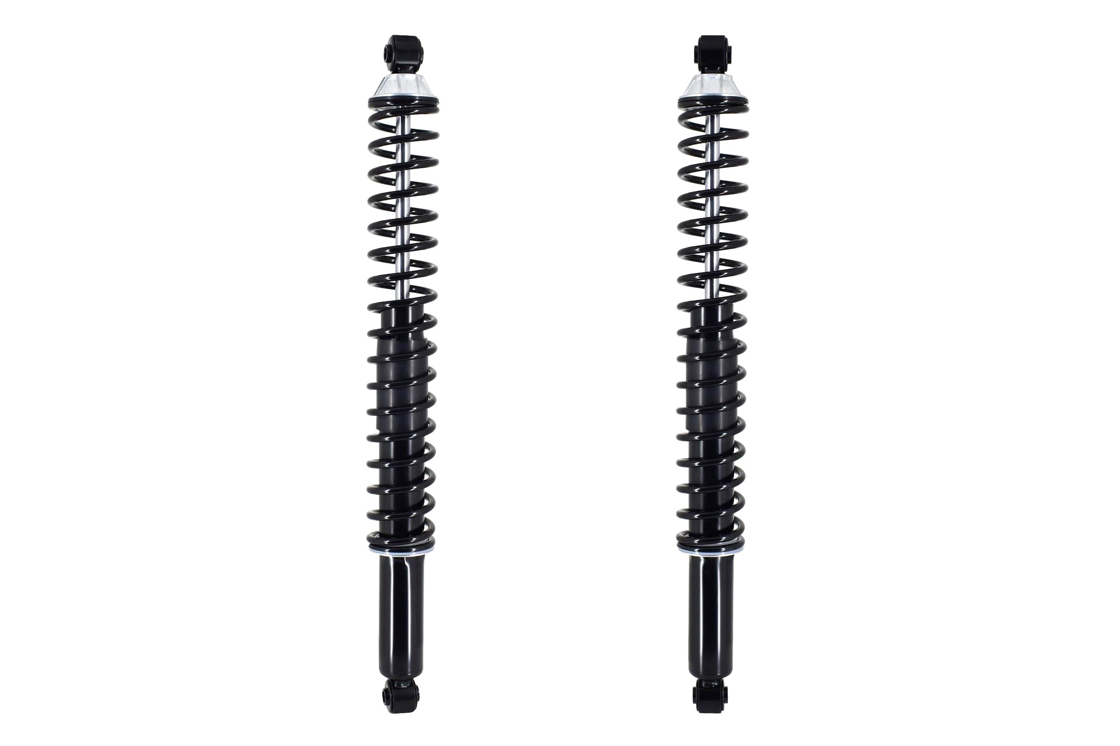 Shock Absorber and Coil Spring Assembly