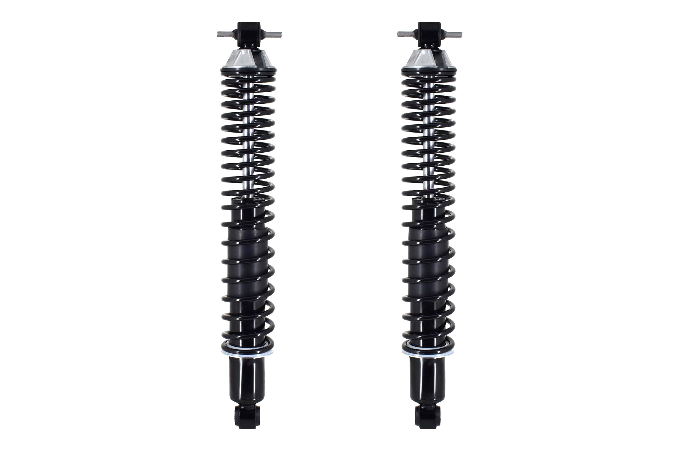 Shock Absorber and Coil Spring Assembly