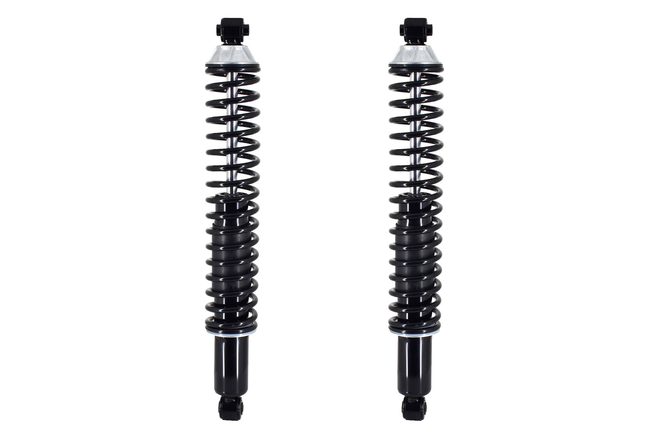 Shock Absorber and Coil Spring Assembly