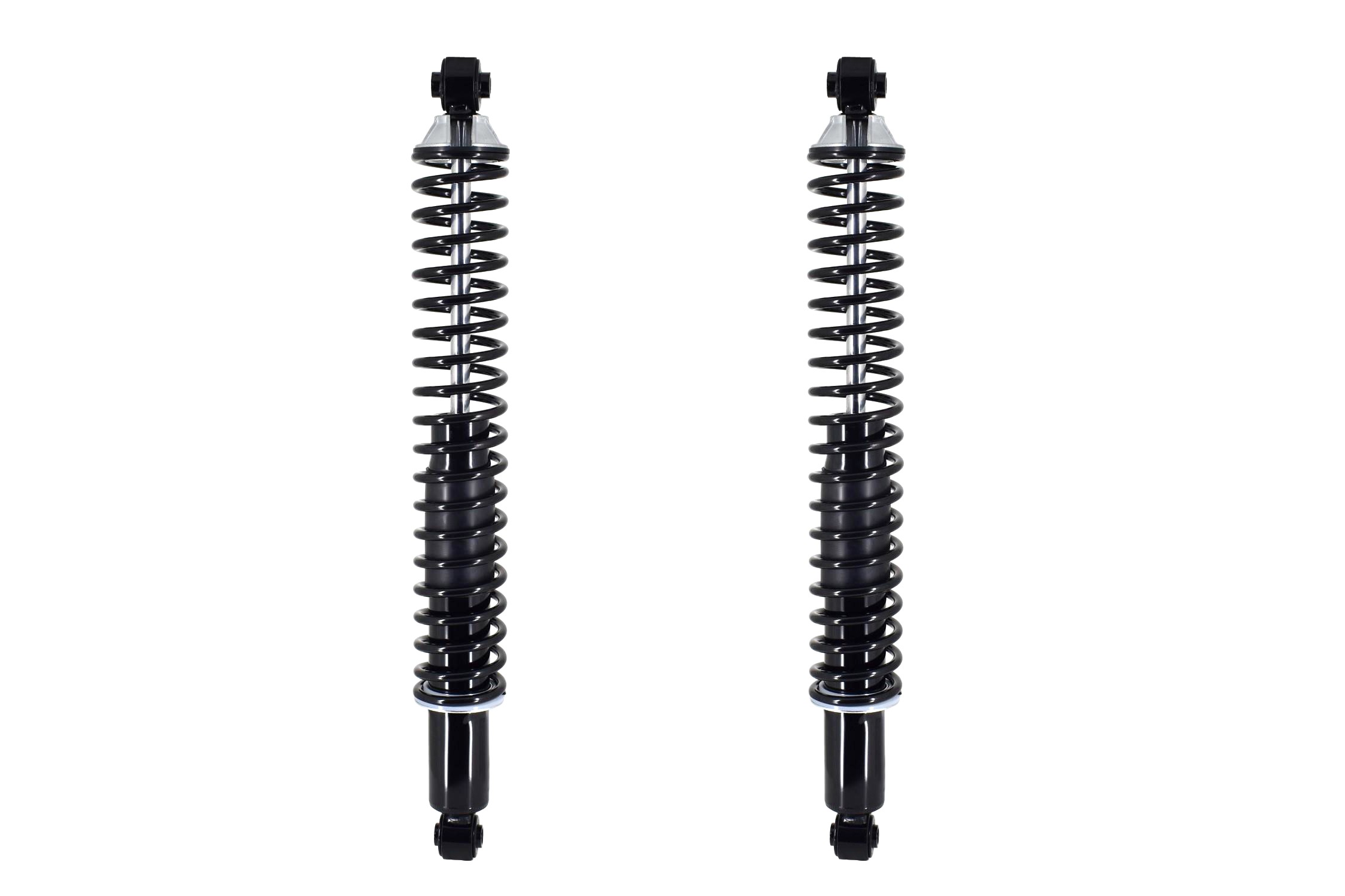 Shock Absorber and Coil Spring Assembly