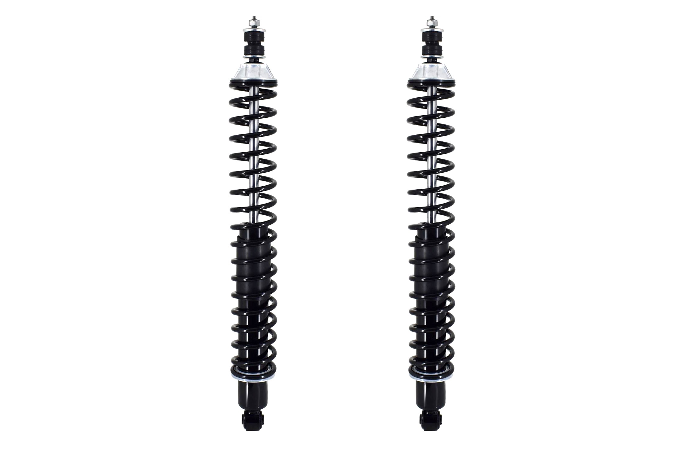 Shock Absorber and Coil Spring Assembly