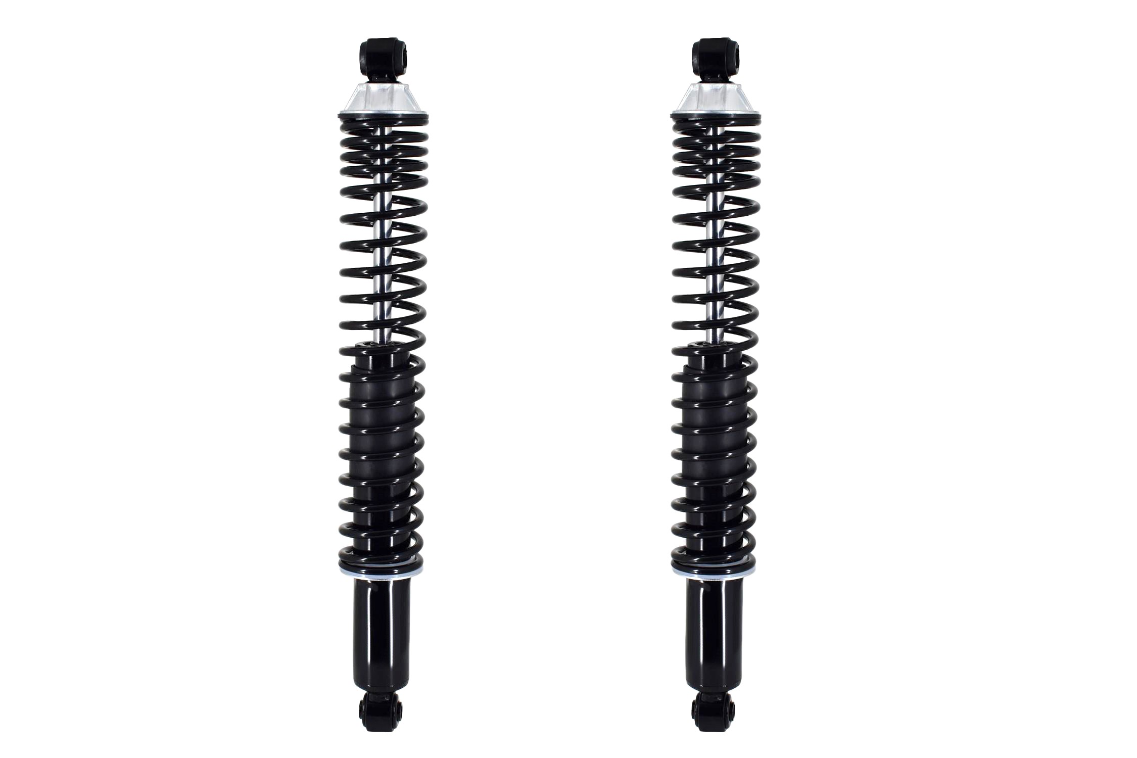 Shock Absorber and Coil Spring Assembly