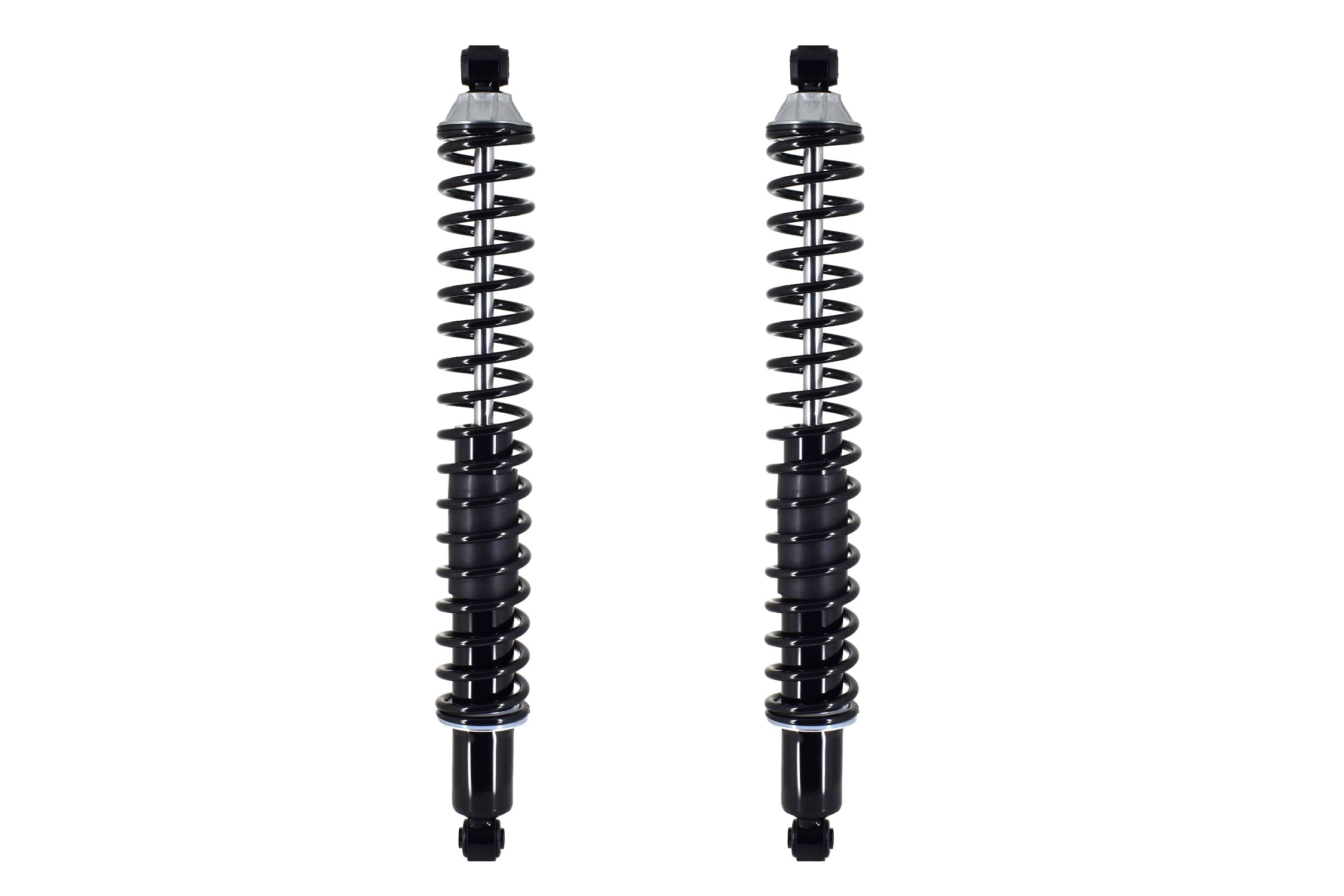 Shock Absorber and Coil Spring Assembly