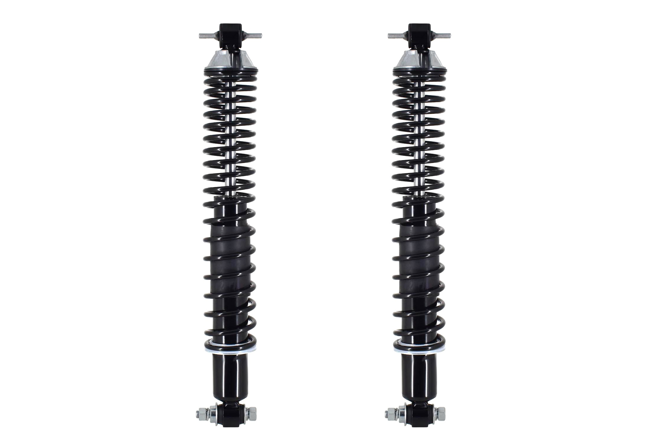 Shock Absorber and Coil Spring Assembly