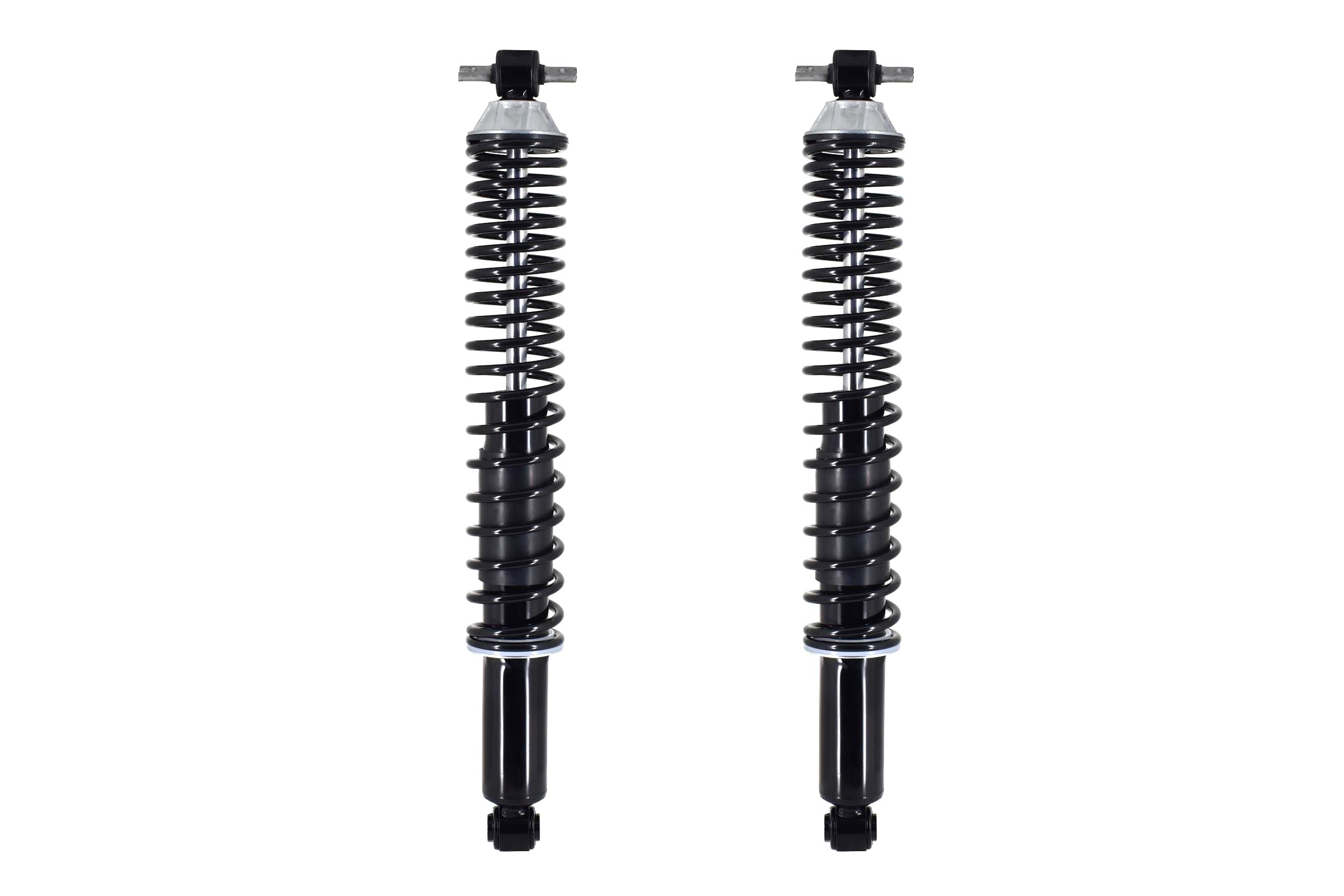 Shock Absorber and Coil Spring Assembly